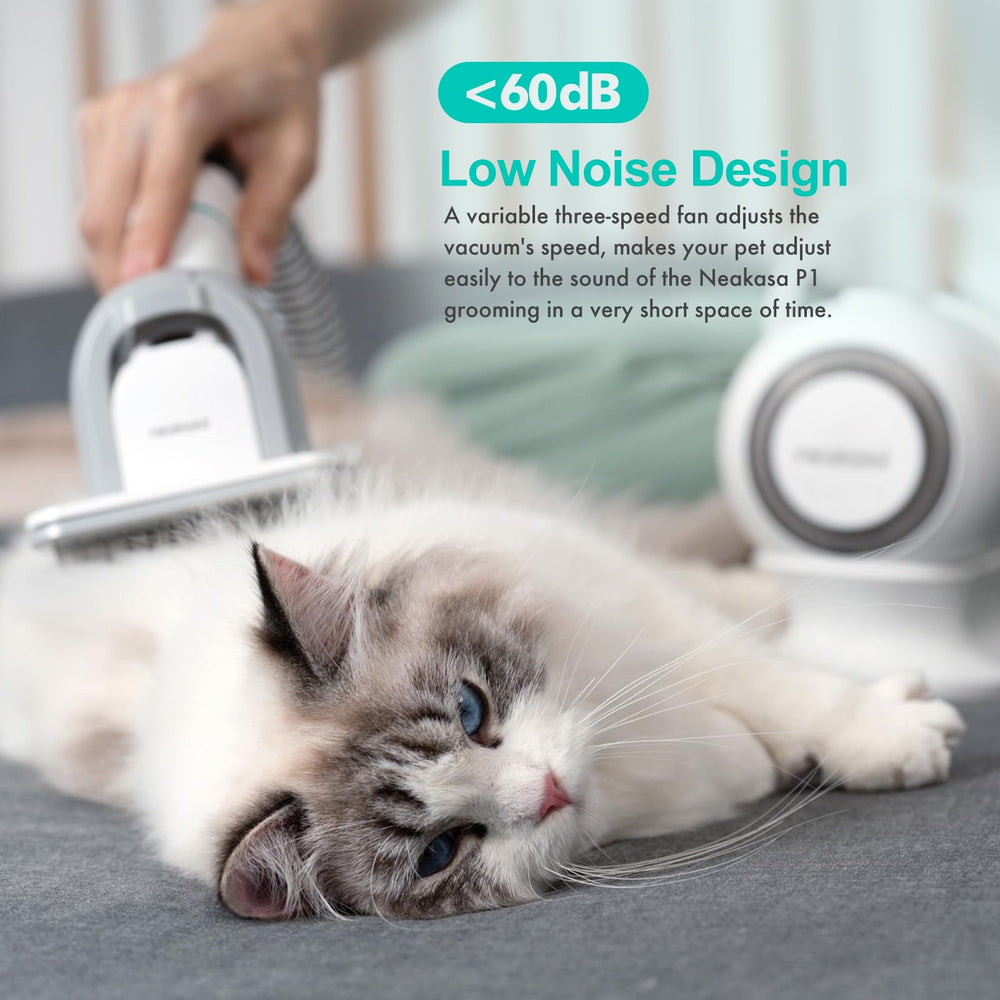 Neakasa P1 Pro cleaning brush helps remove pet hair after grooming