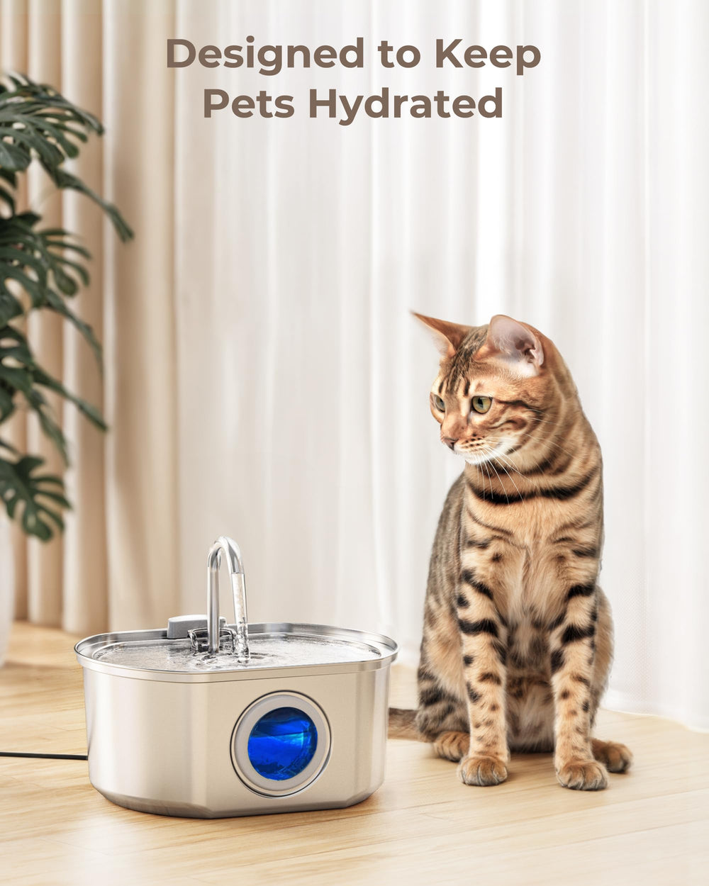 Neareal pet hydration scene showcases fresh water for sipping