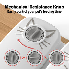 NeatenWise double bowls illustrate large capacity for continuous feeding.