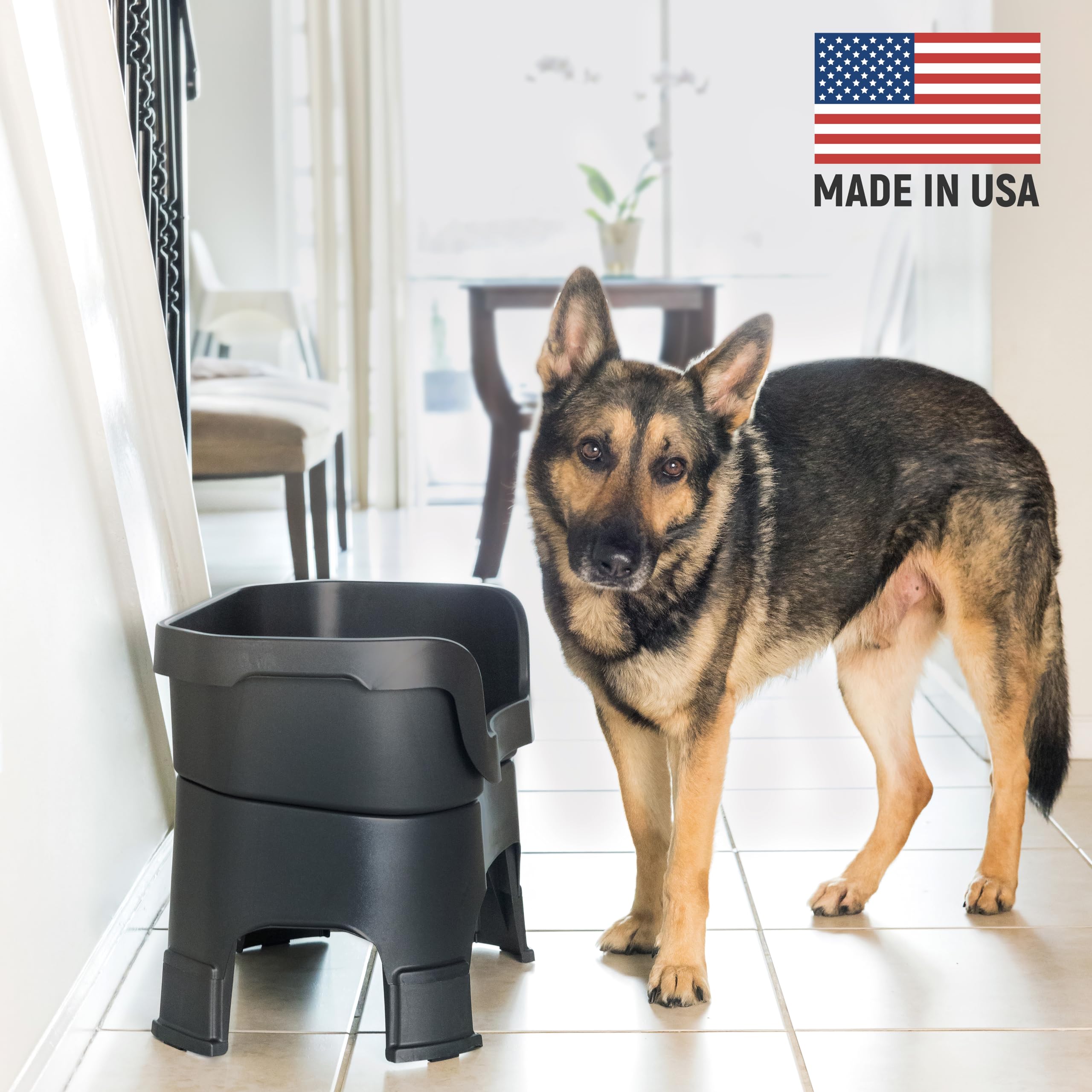 Neater Feeder Deluxe elevated-extensions show raised feeding height for large dogs.