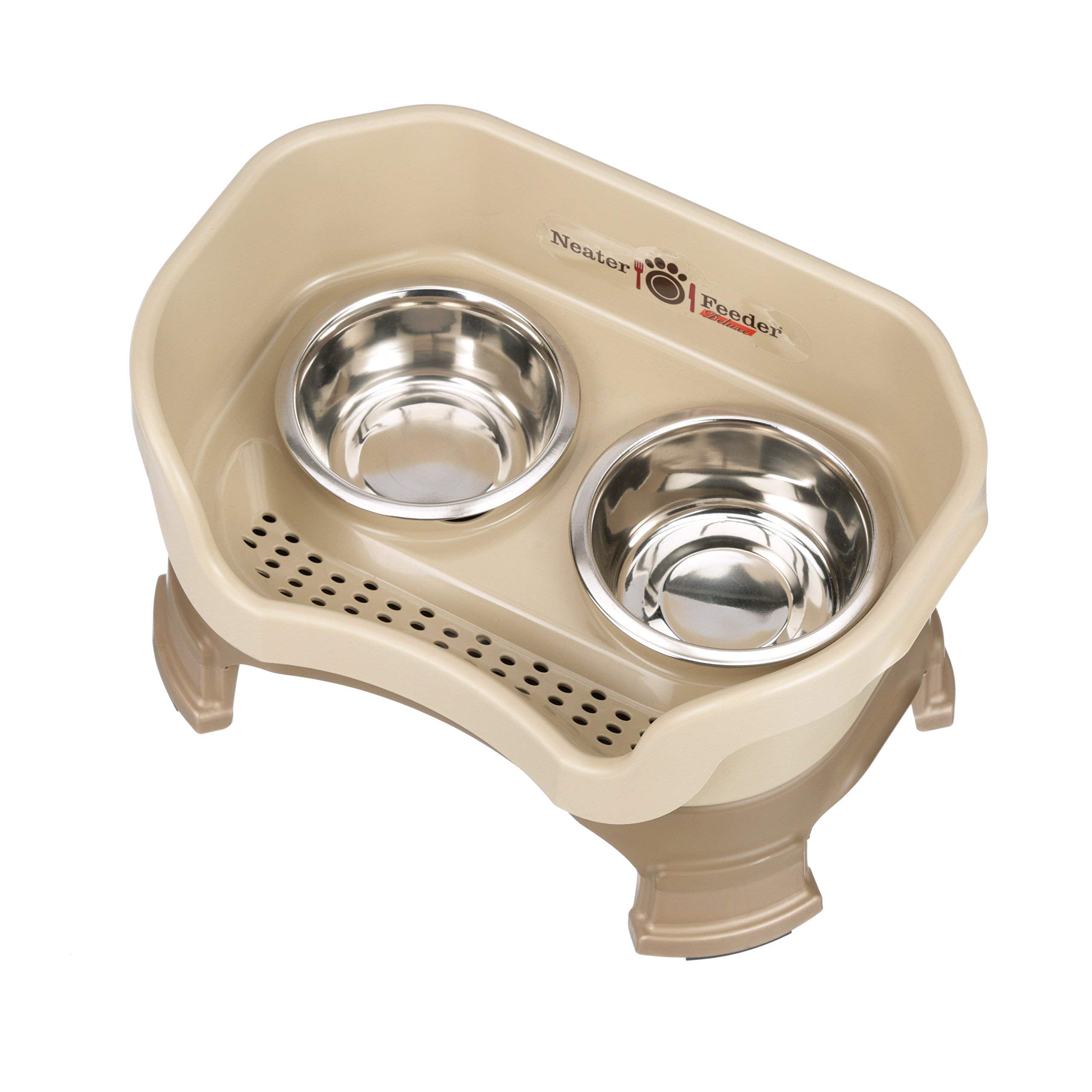 Neater Feeder Deluxe small-dog meal-time setup in real home use.