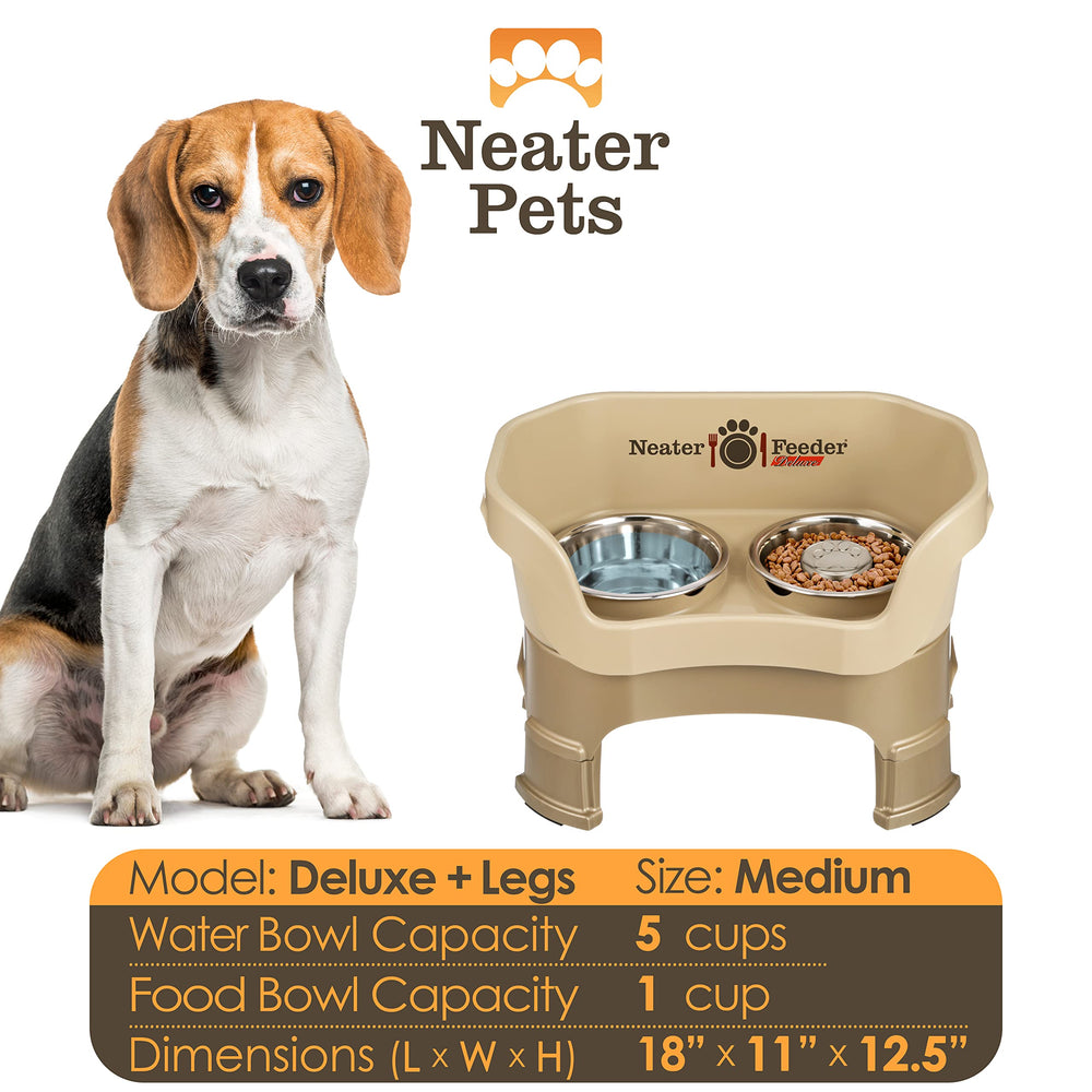 Neater Feeder Deluxe stainless steel bowl highlights hygienic, durable slow-feeder option.