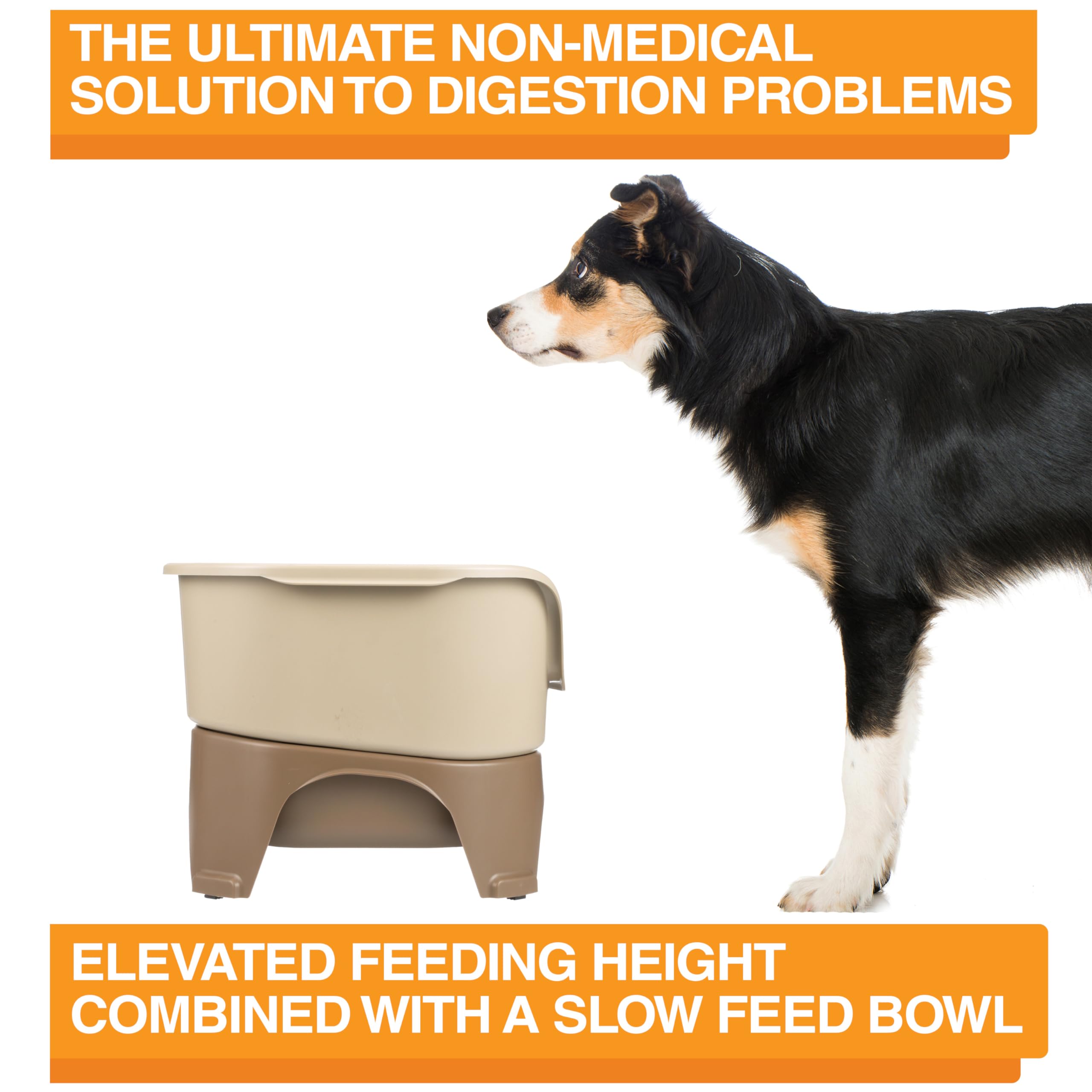 Neater Feeder Express 3-cup food bowl and 7-cup water bowl support medium to large dogs.