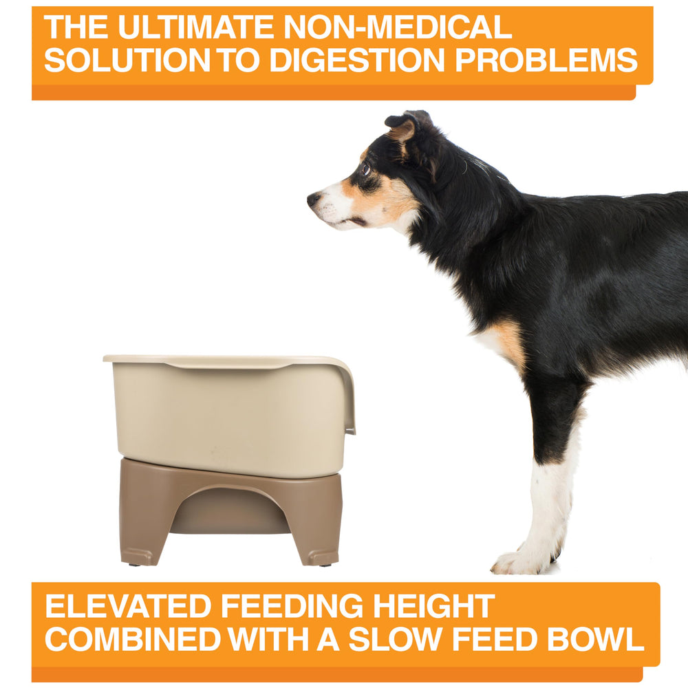 Neater Feeder Express 3-cup food bowl and 7-cup water bowl support medium to large dogs.