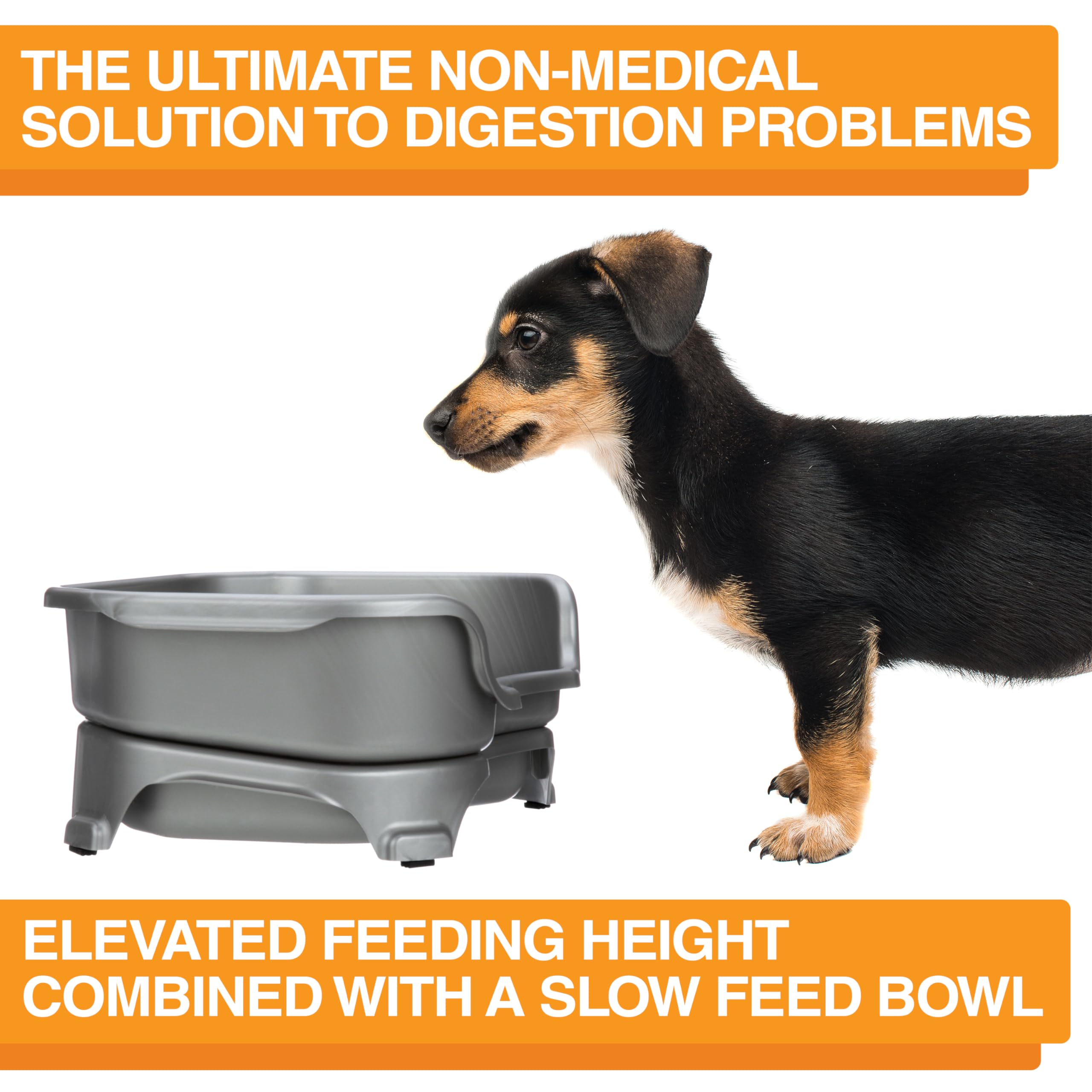 Neater Feeder Express dishwasher-safe parts simplify cleaning after meals