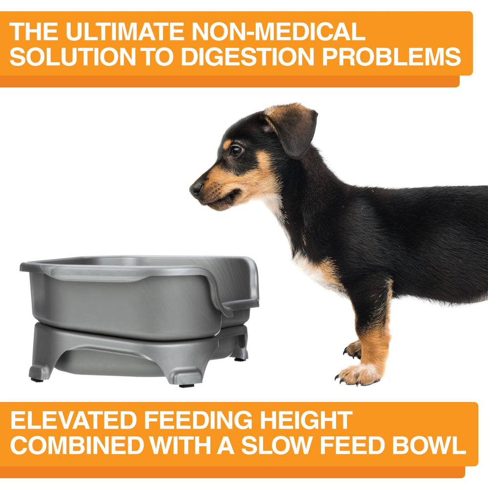 Neater Feeder Express dishwasher-safe parts simplify cleaning after meals