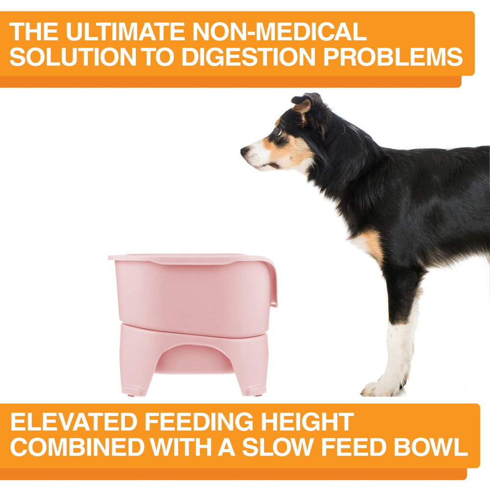 Neater Feeder Express components are top-rack dishwasher-safe for easy cleaning.