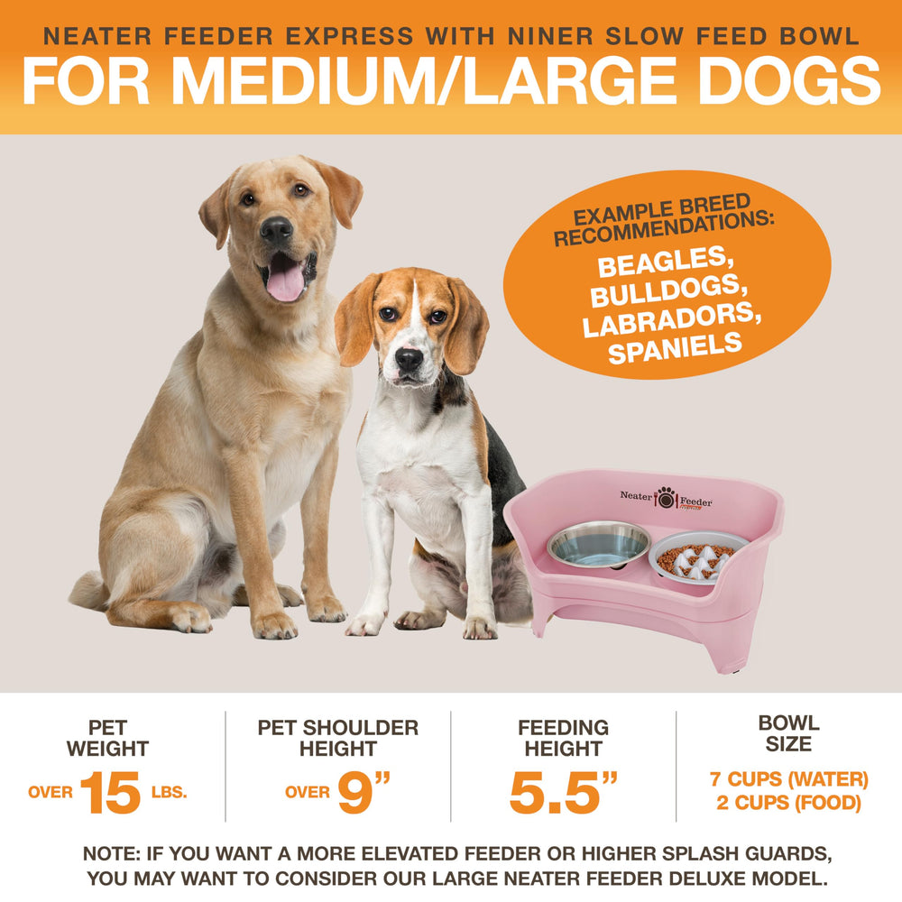 Neater Feeder Express supports medium to large dogs with ergonomic height.