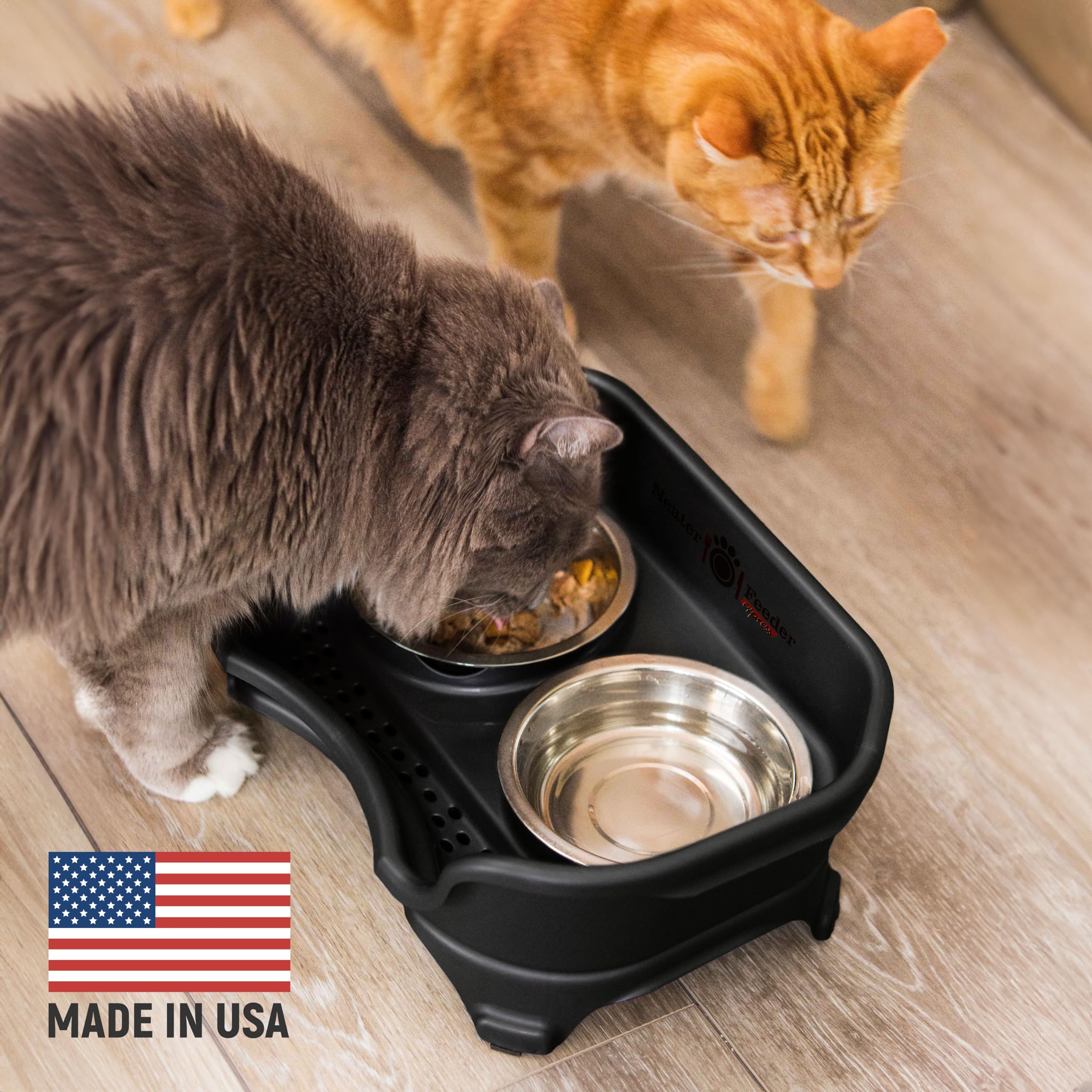 Neater Feeder Express elevated bowls, whisker-friendly, reduce neck strain during cat meals.