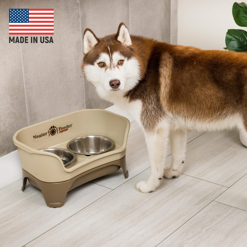 Neater Feeder Express elevated bowls demonstrate comfortable eating height