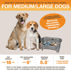 Neater Feeder Express elevated feeder design supports comfortable feeding height