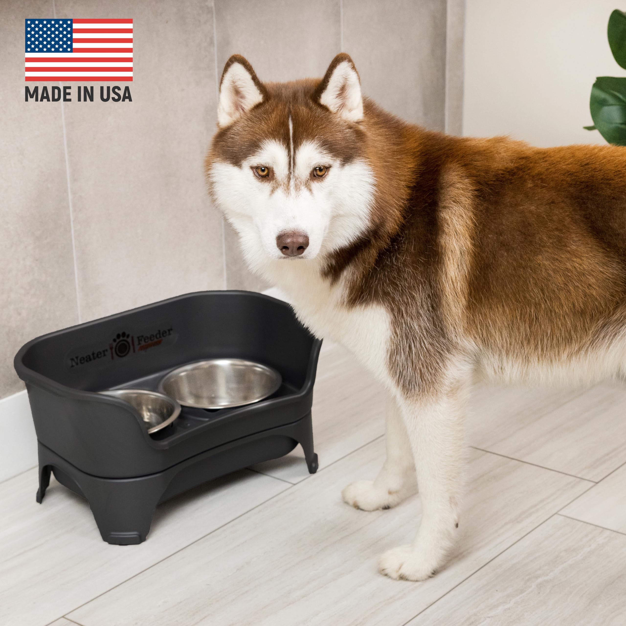 Neater Feeder Express elevated feeding height supports comfortable meals.