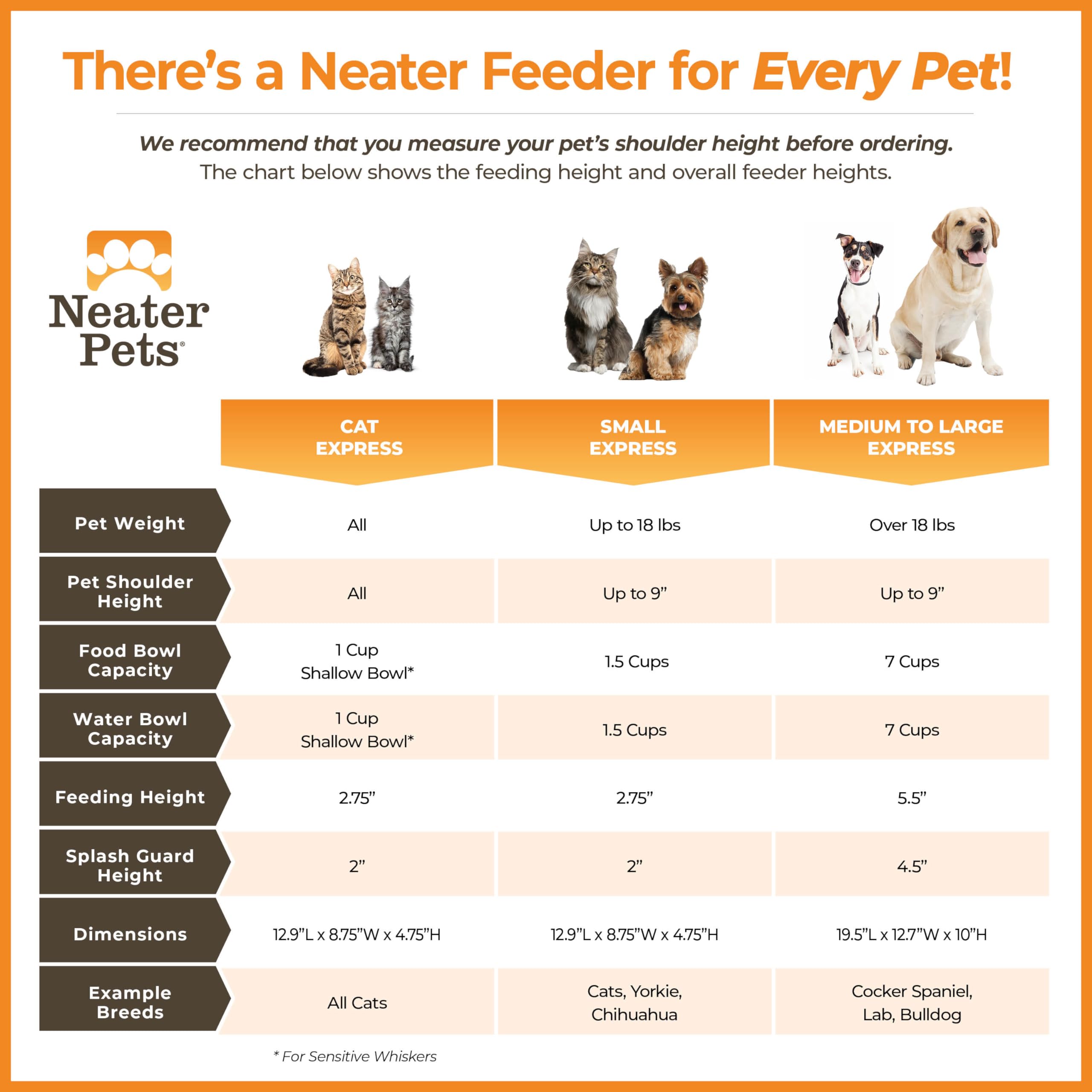 Neater Feeder Express elevated feeding design promotes comfortable posture for indoor cats.