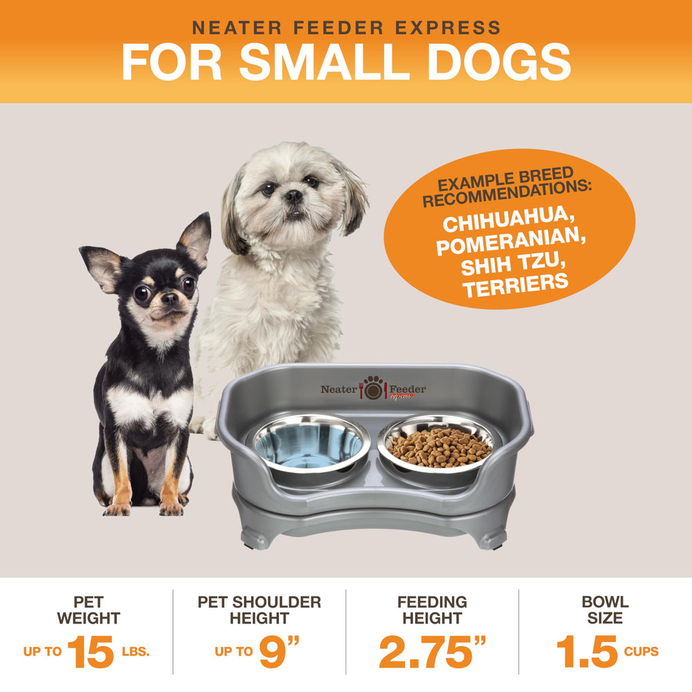 Neater Feeder Express elevated stand designed for small dogs to reduce neck strain.