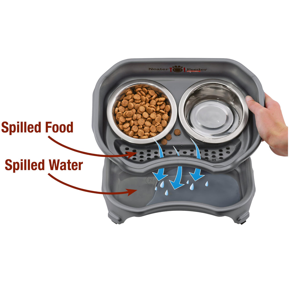 Neater Feeder Express food bowl provides whisker-friendly, shallow dish for comfortable meals.