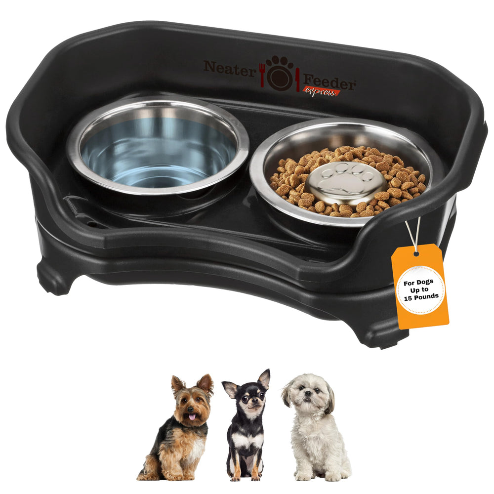 Neater Feeder Express front view mess-proof stand showing raised bowls reduce spills