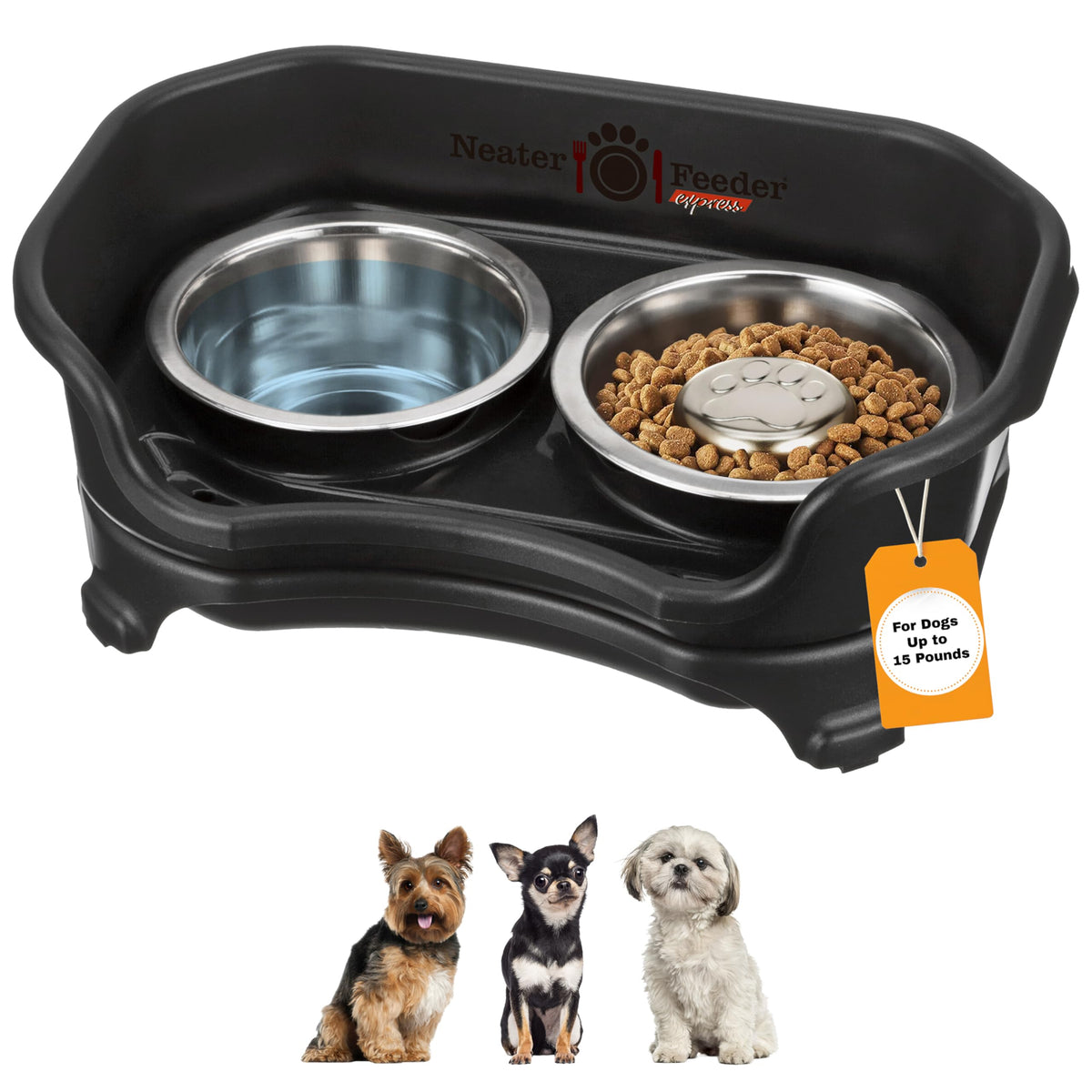 Neater Feeder Express front view mess-proof stand showing raised bowls reduce spills
