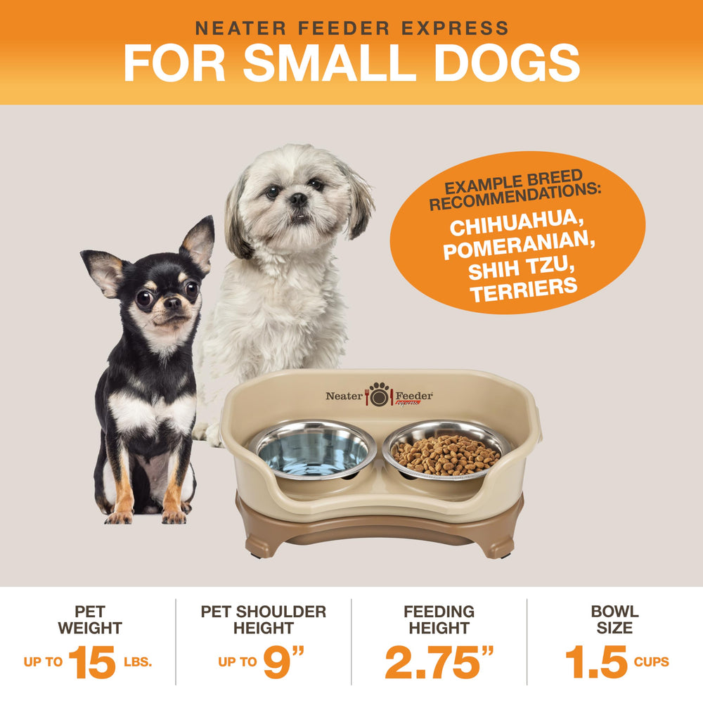 Neater Feeder Express mess-proof bowls set up for smooth feeding