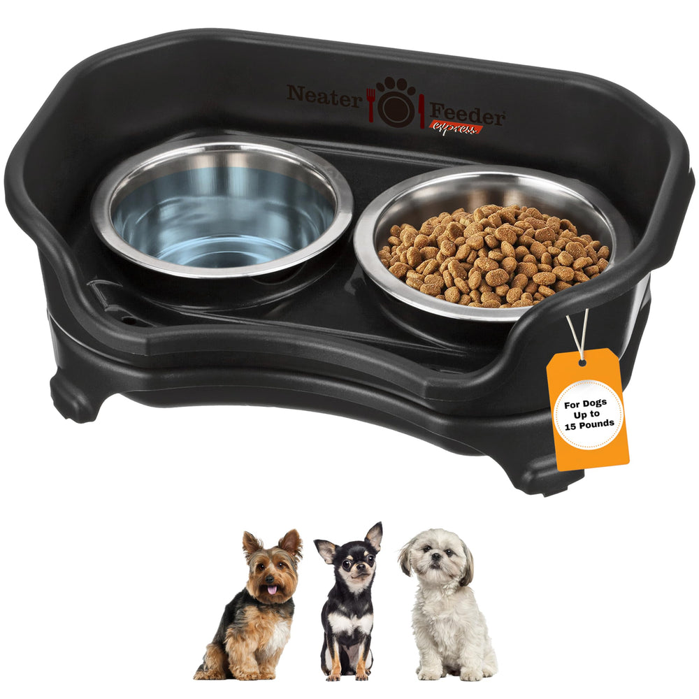 Neater Feeder Express mess-proof station keeps feeding area tidy by separating spills.