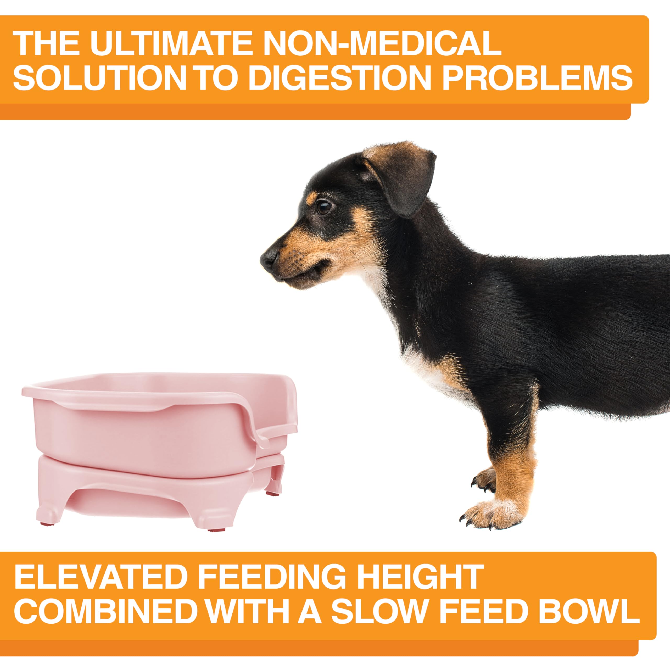 Neater Feeder Express non-slip feet prevent sliding during meals