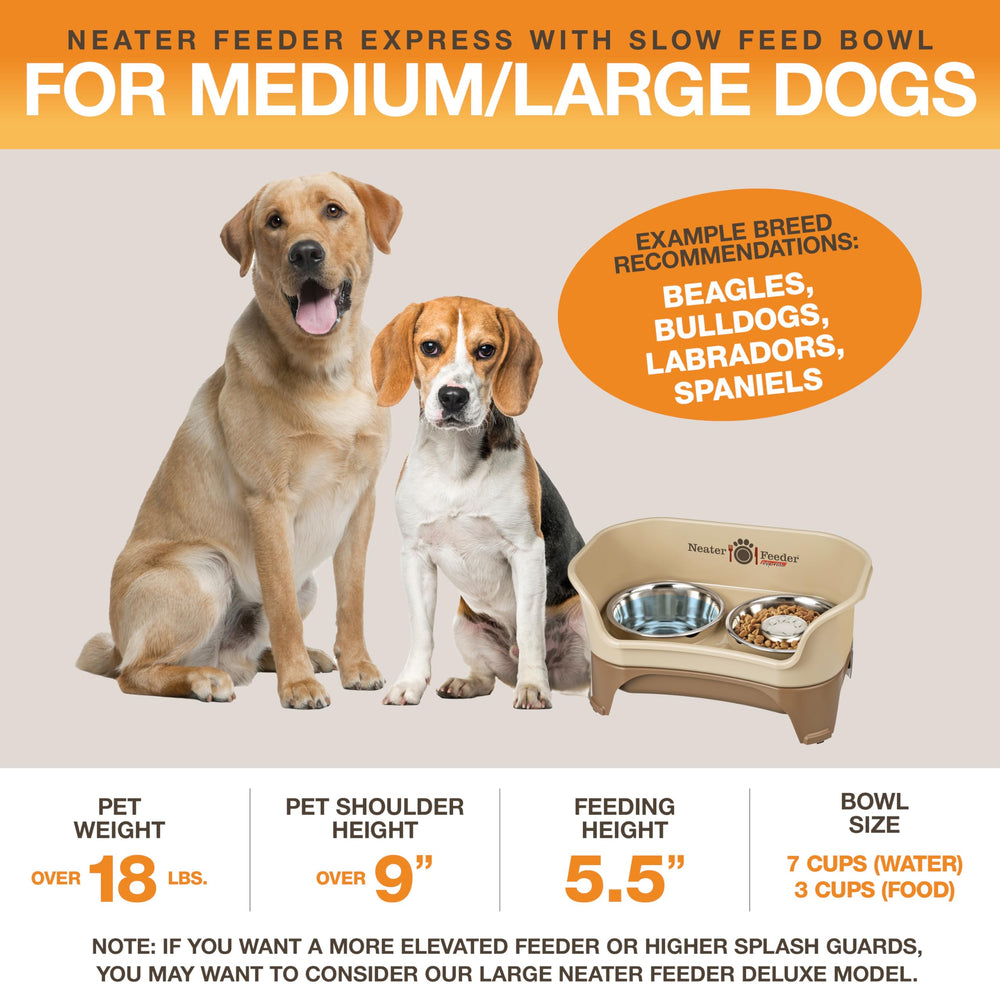 Neater Feeder Express non-slip feet minimize sliding for steadier feeding.