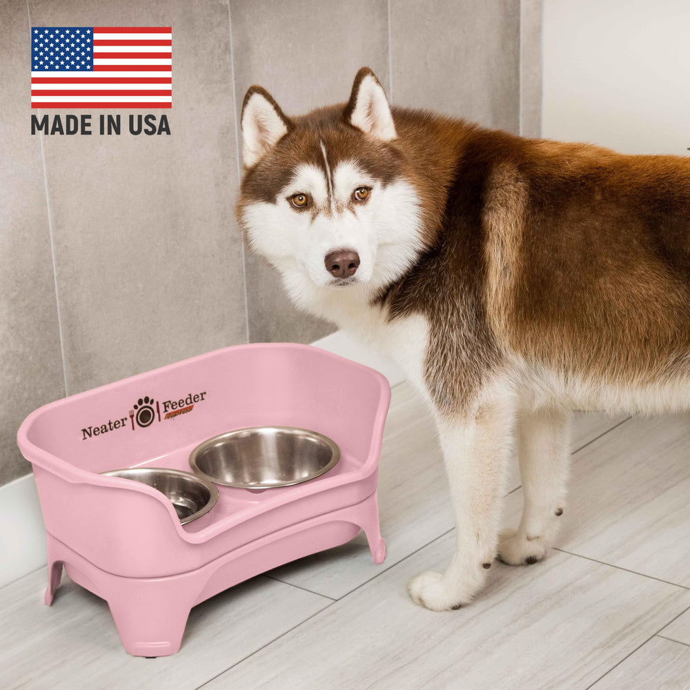 Neater Feeder Express pink bowls provide easy-to-clean, large-capacity dining for dogs.