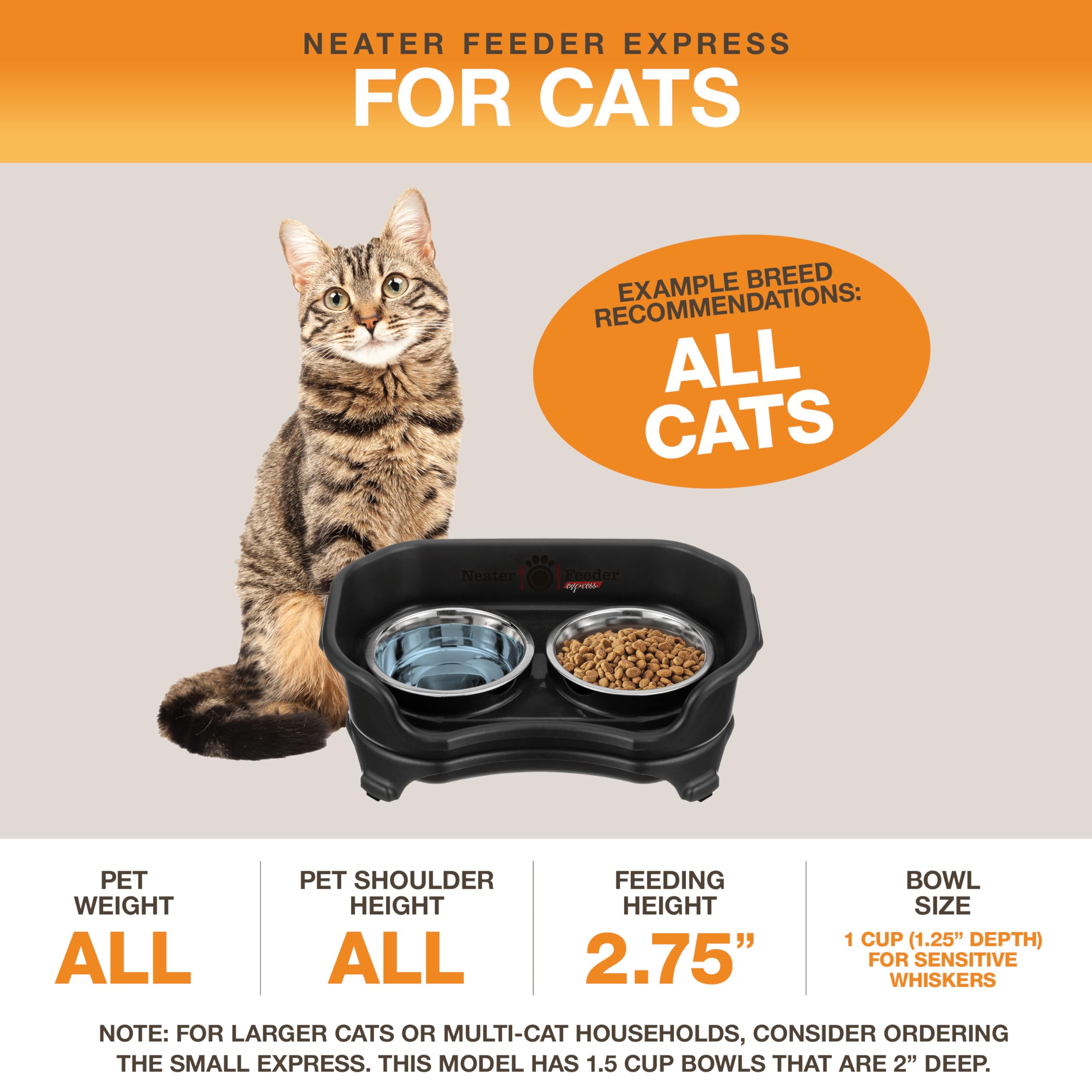 Neater Feeder Express raised bowls help reduce food scattering during feeding.