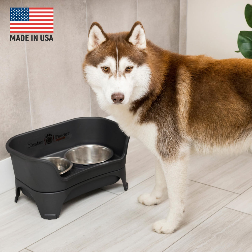 Neater Feeder Express slow-feeder bowl slows eating for comfortable meals.