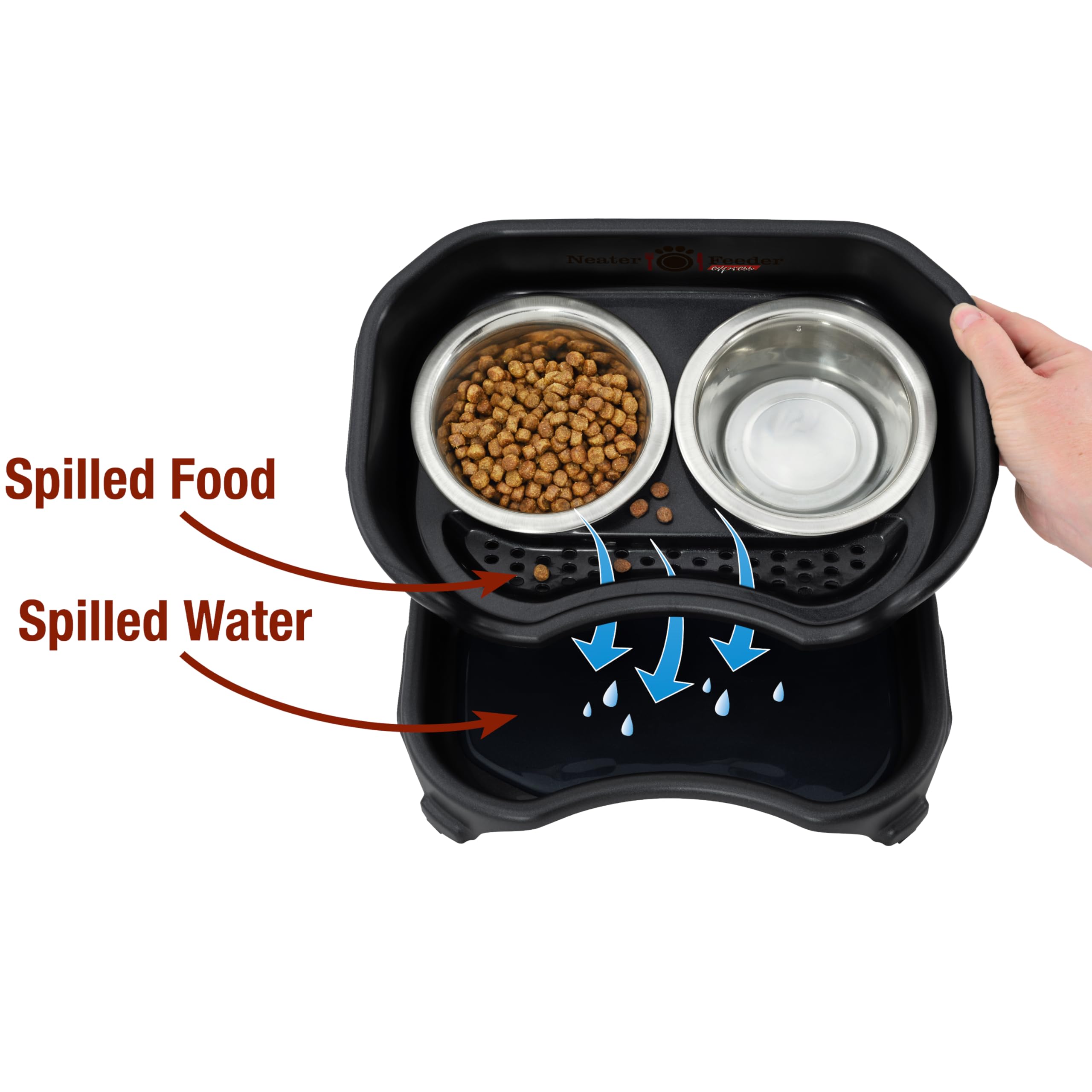 Neater Feeder Express designed for small dogs under 15 lbs feeding comfortably.