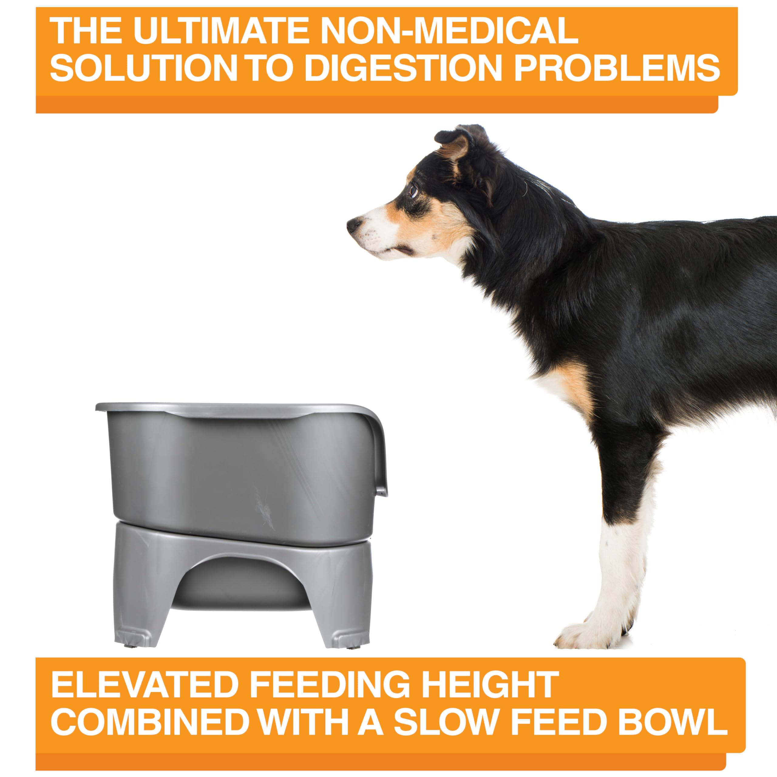 Neater Feeder Express stainless bowls are easy to rinse