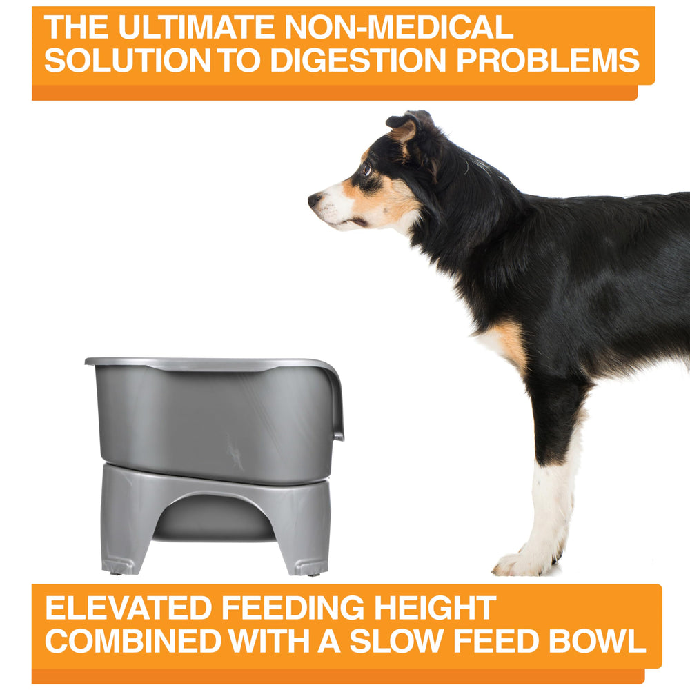 Neater Feeder Express stainless bowls are easy to rinse