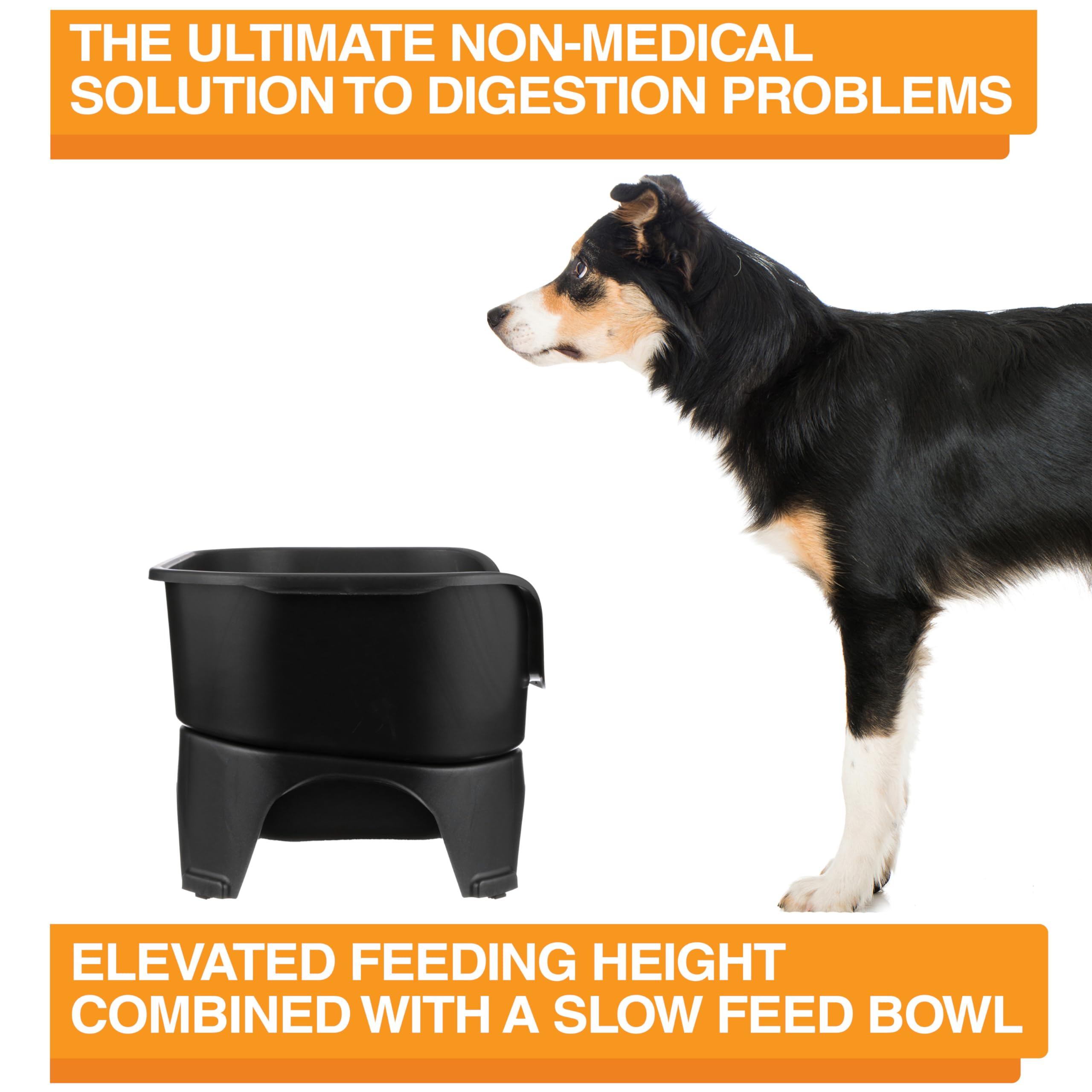 Neater Feeder Express stainless-steel-bowls stay durable and rust-free.