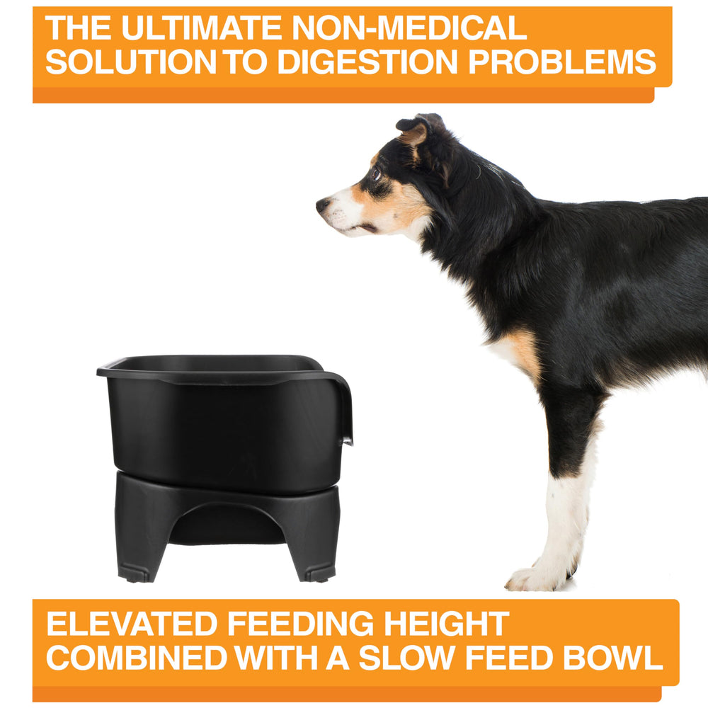 Neater Feeder Express stainless-steel-bowls stay durable and rust-free.