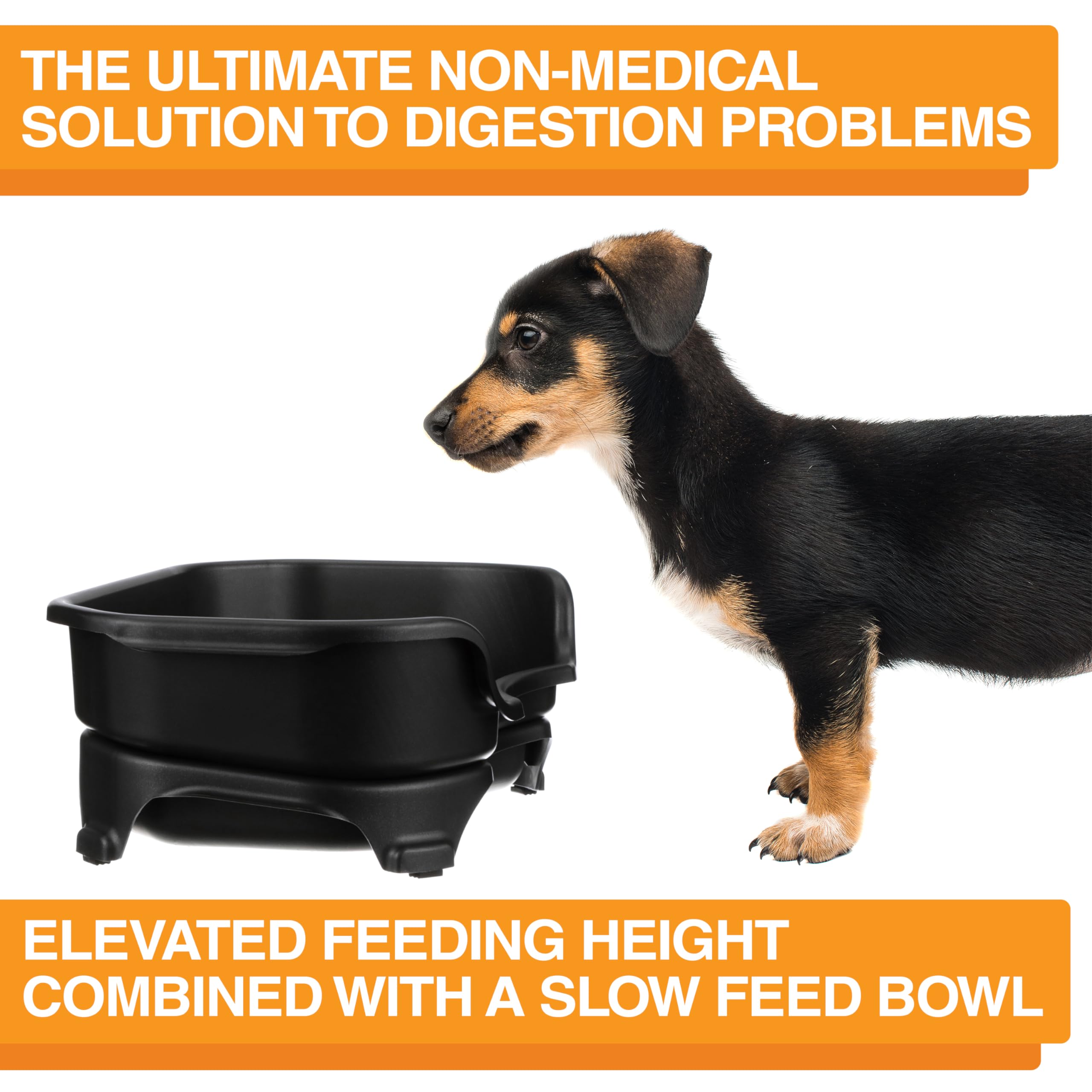 Neater Feeder Express USA-made outer holder on a durable stand