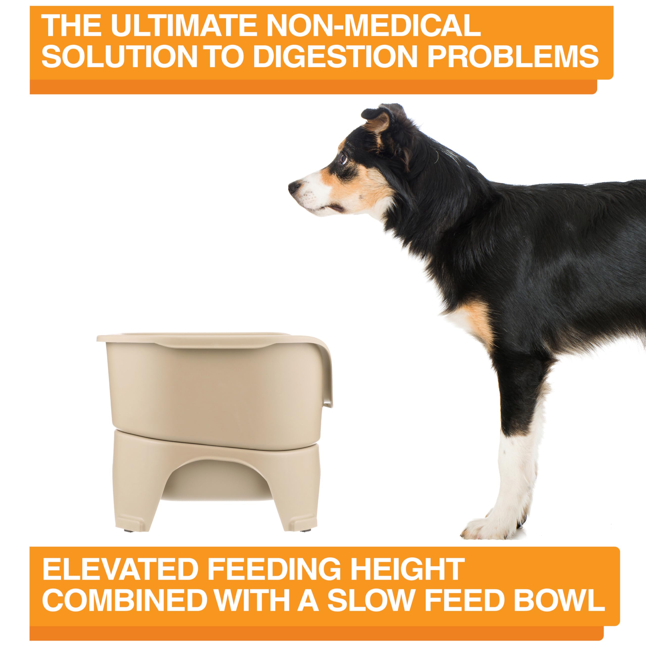 Neater Feeder Express USA-made base with durable bowls supports larger dogs.
