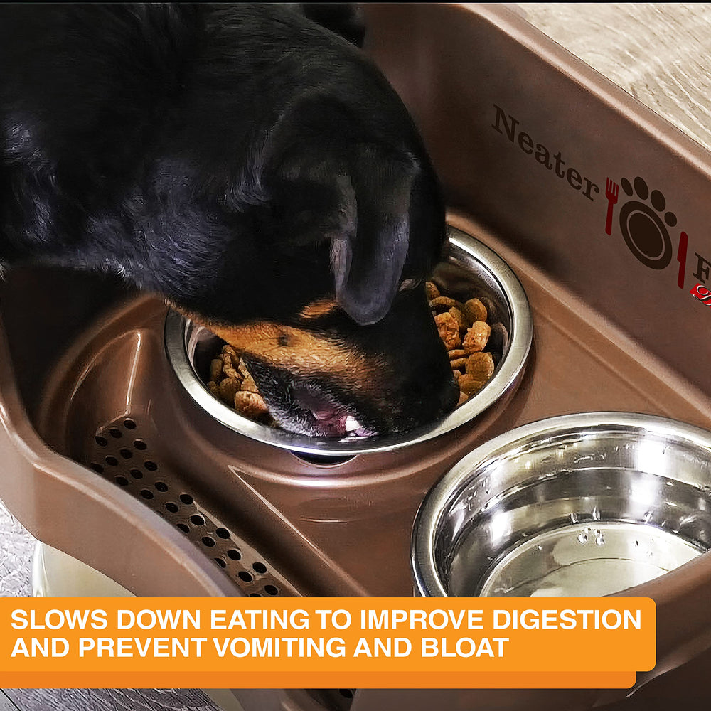 Neater Pet Brands bowl inside Express Medium-Large feeder fits elevated setups for slower meals.