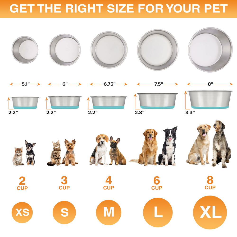 Neater Pet Brands dishwasher-safe bowls simplify cleanup after messy chew times.