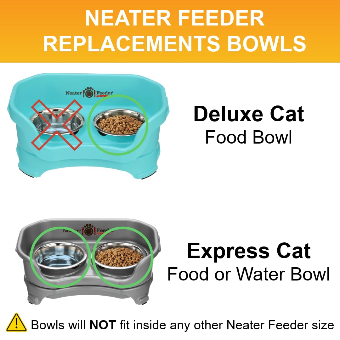 Neater Pet Brands dishwasher-safe bowls shown in kitchen for quick cleanup.