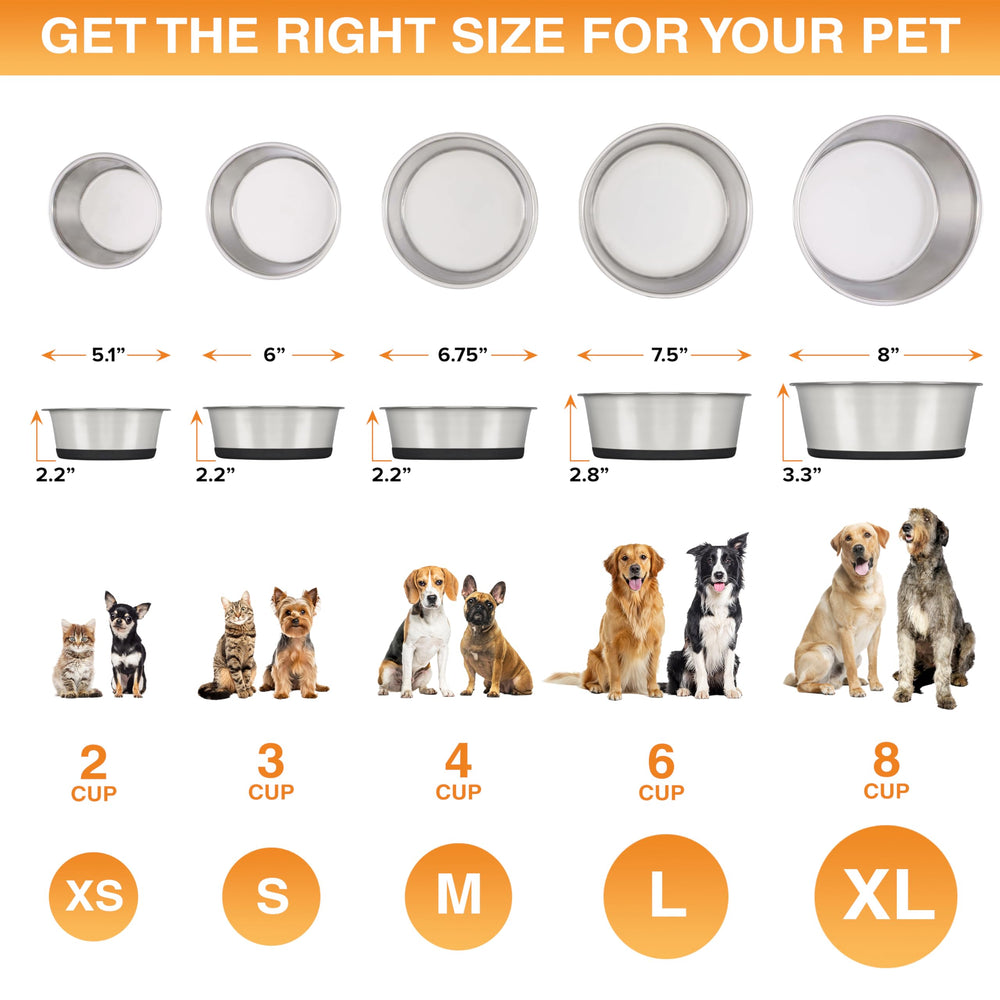 Neater Pet Brands dishwasher-safe bowls simplify cleanup after messy feeding sessions.