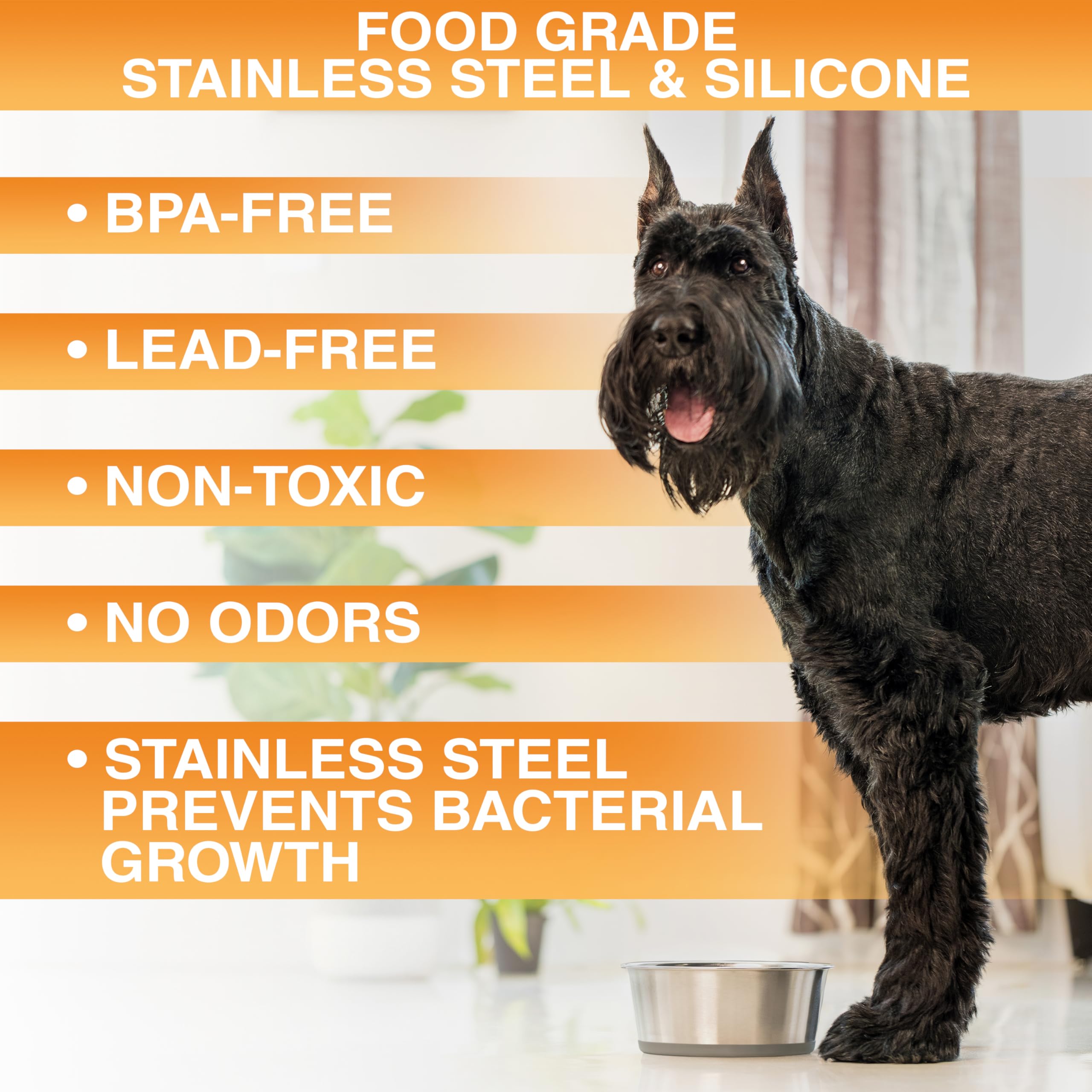 Neater Pet Brands heavy-duty stainless steel dog bowl durable and rust-resistant for daily use.