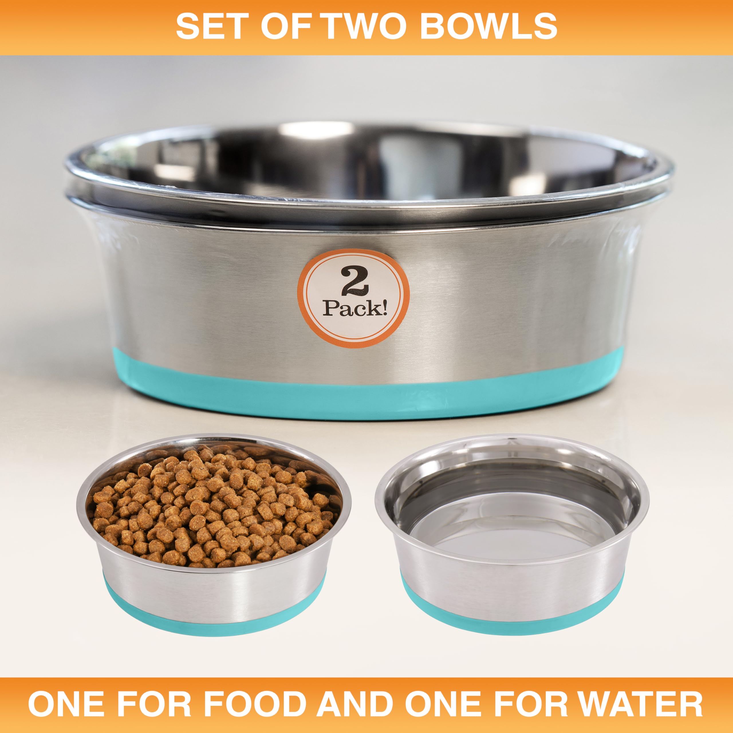 Neater Pet Brands large-breed friendly design fits Border Collie, Lab, and more.