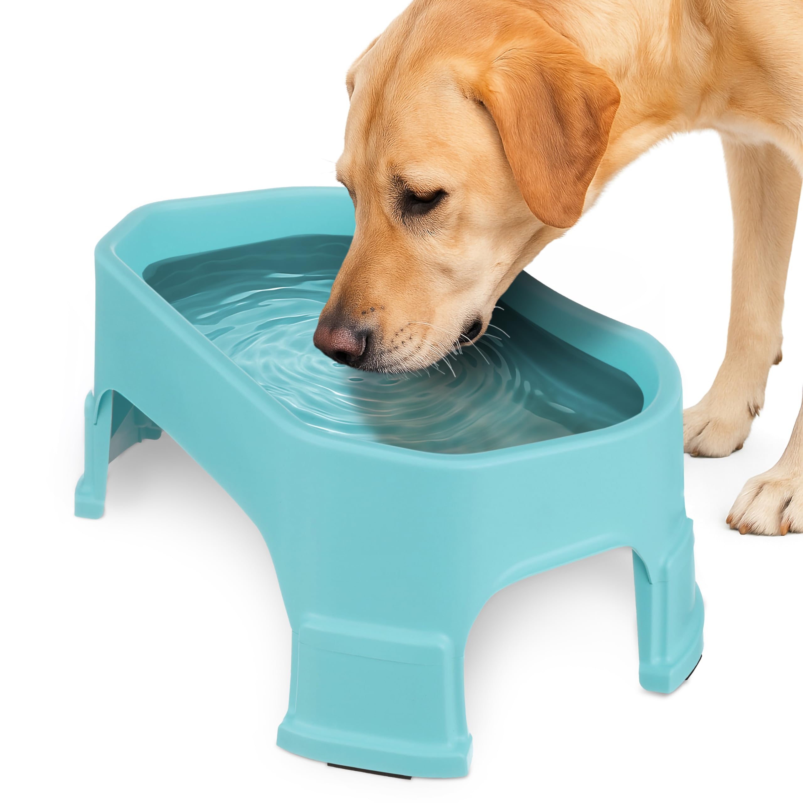 Neater Pet Brands large water bowl aquamarine front view shows no-spill design