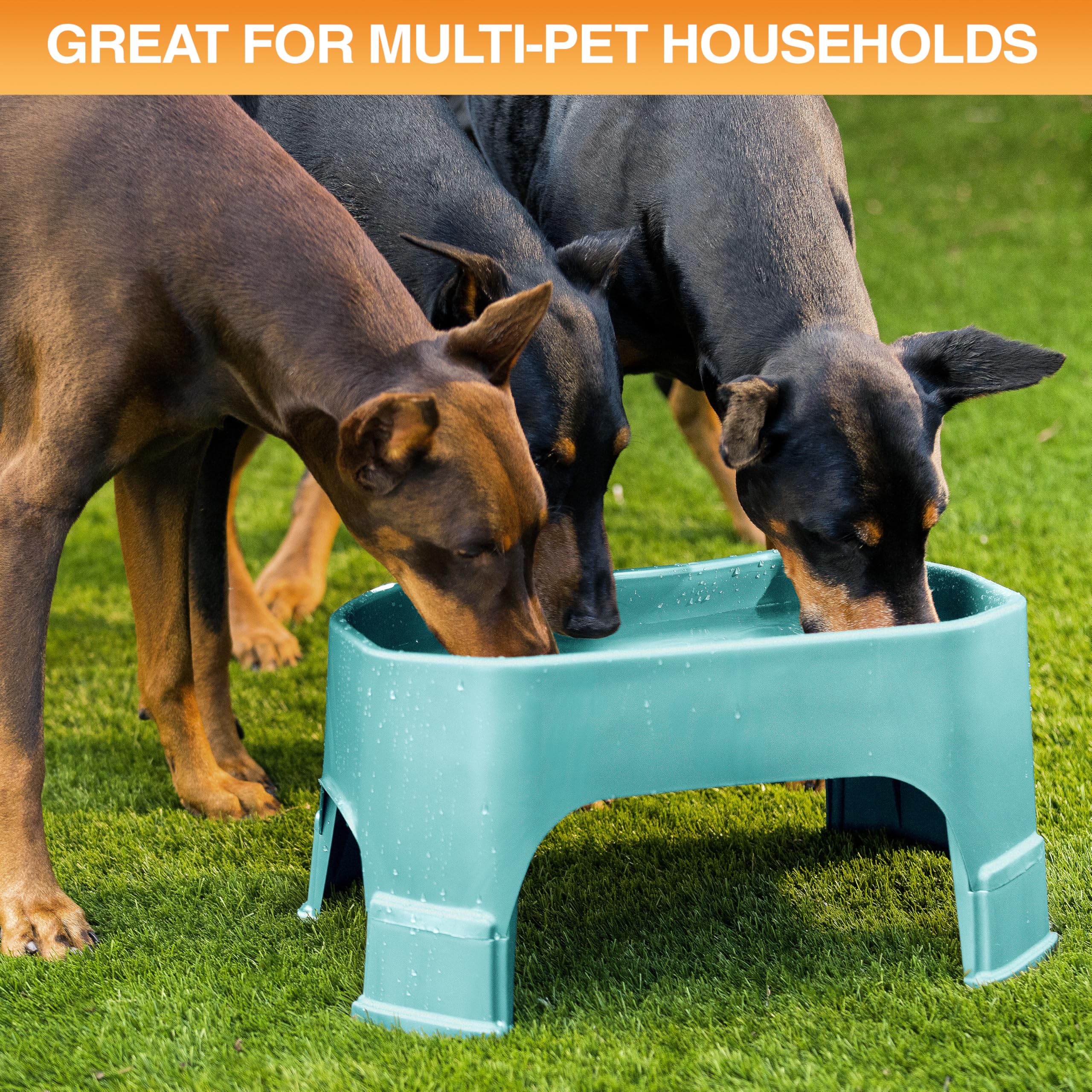Neater Pet Brands large water bowl aquamarine inside view for easy cleaning