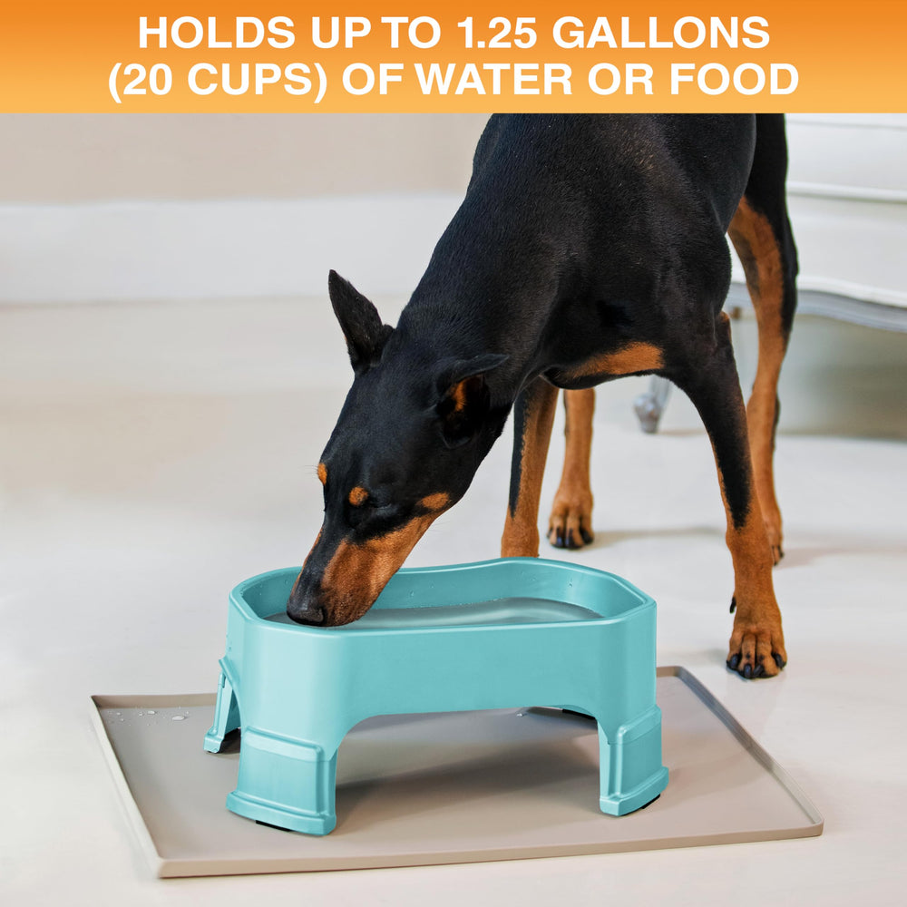 Neater Pet Brands large water bowl aquamarine side view shows stable base
