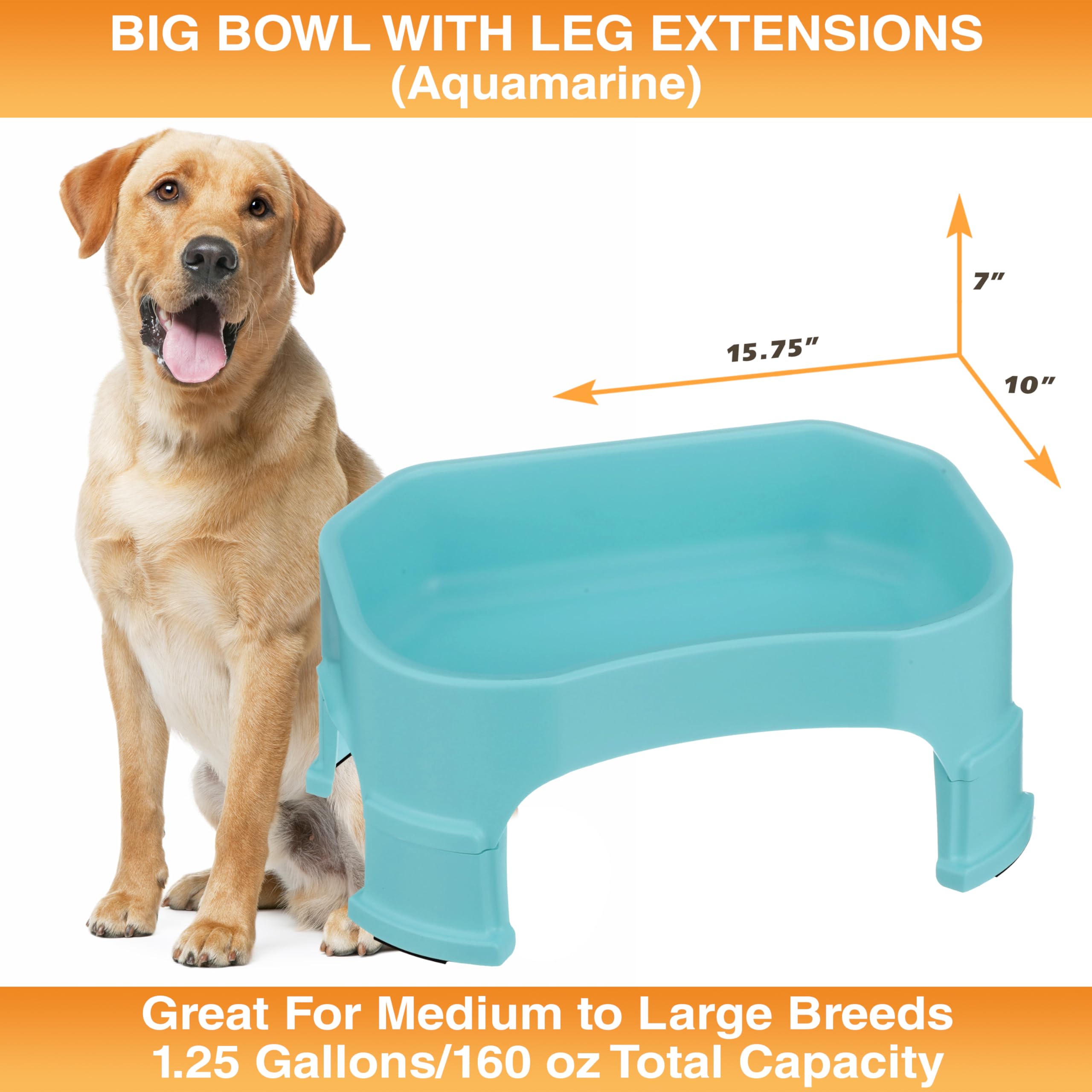 Neater Pet Brands large water bowl aquamarine top-rack safe for easy cleaning