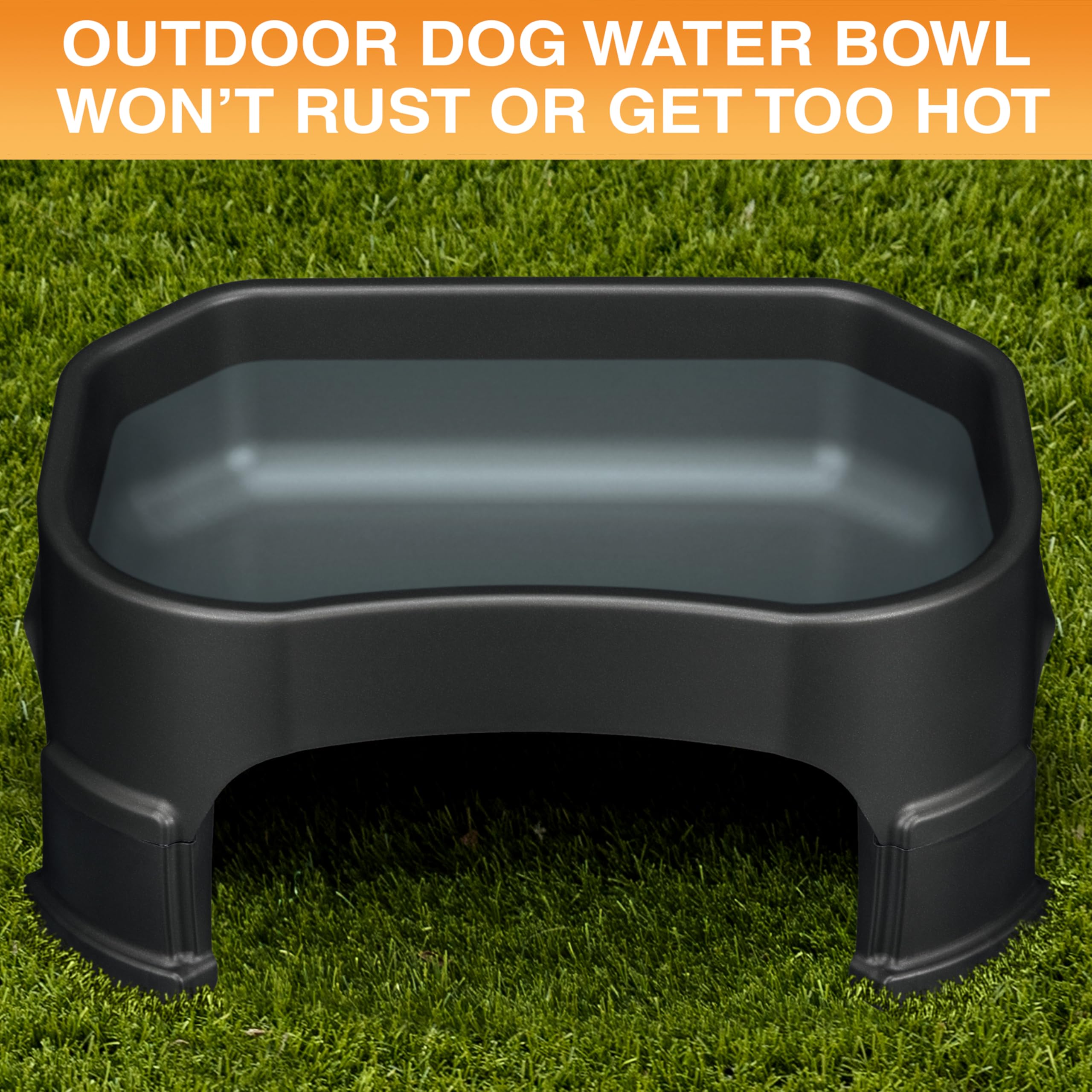 Neater Pet Brands large water bowl capacity 1.25 gallons for steady, long-lasting hydration.