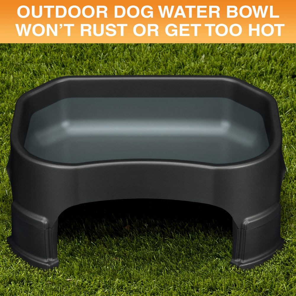 Neater Pet Brands large water bowl capacity 1.25 gallons for steady, long-lasting hydration.