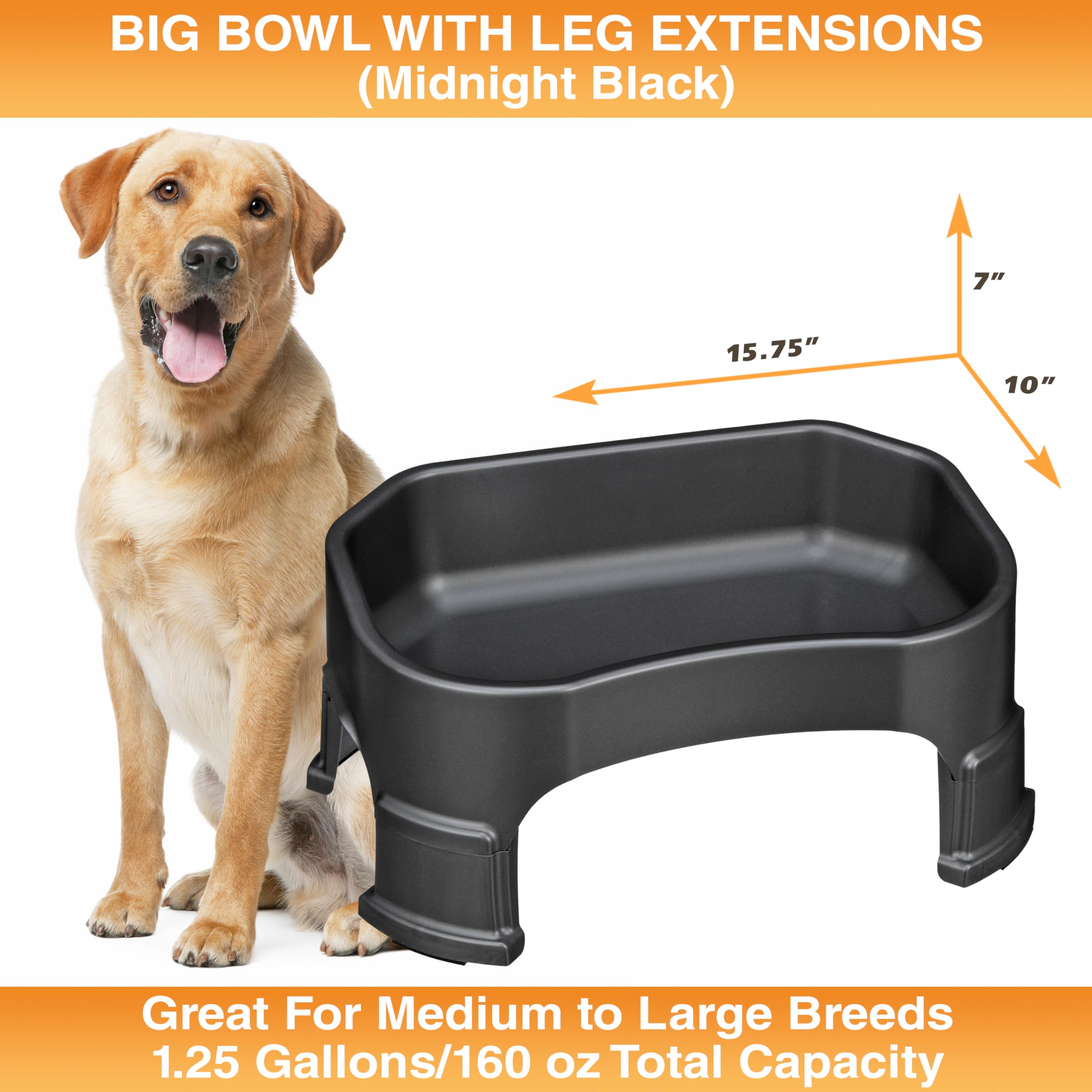 Neater Pet Brands large water bowl dishwasher-safe for quick, easy cleanup after outdoor sessions.