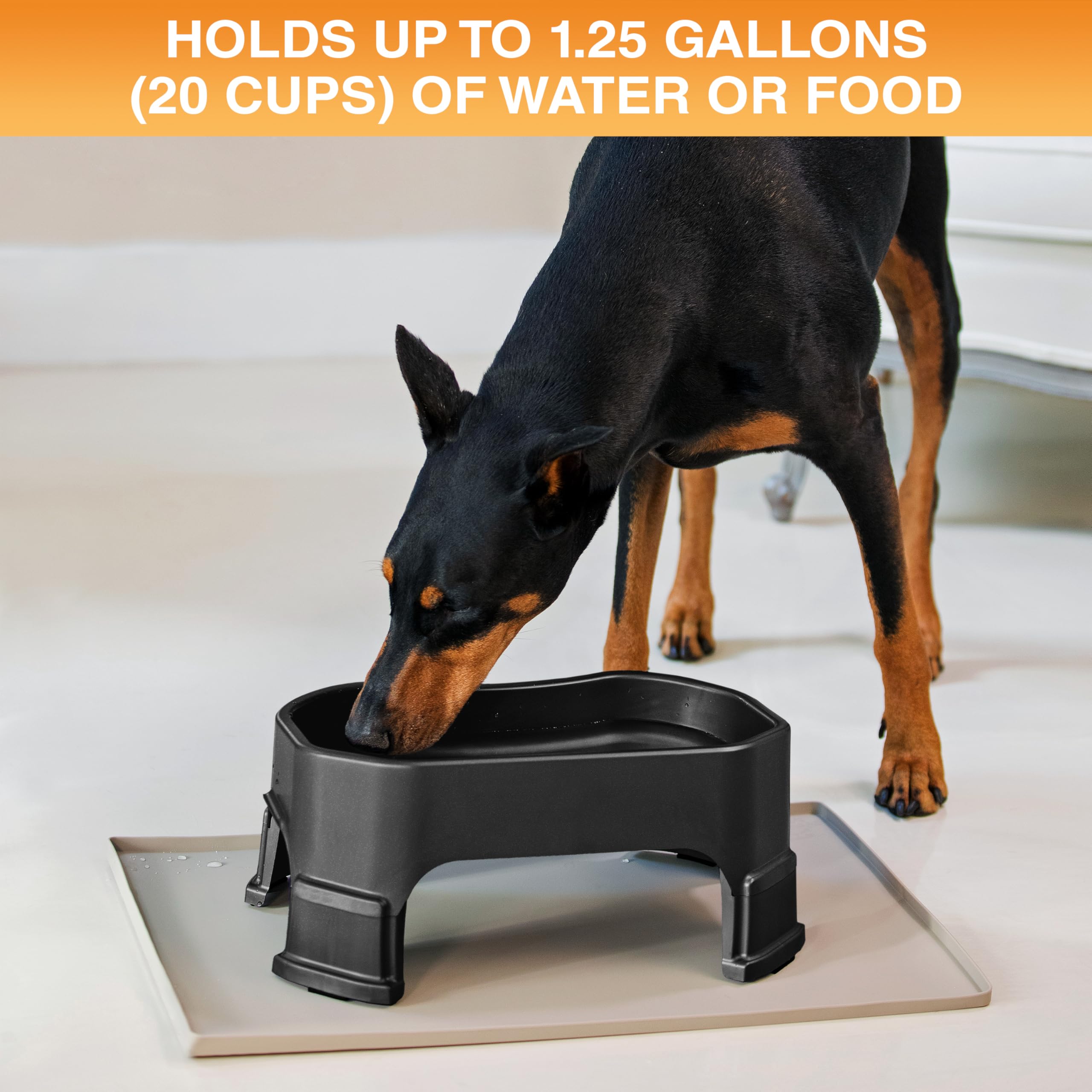 Neater Pet Brands large water bowl no-spill design reduces mess during busy playtime.