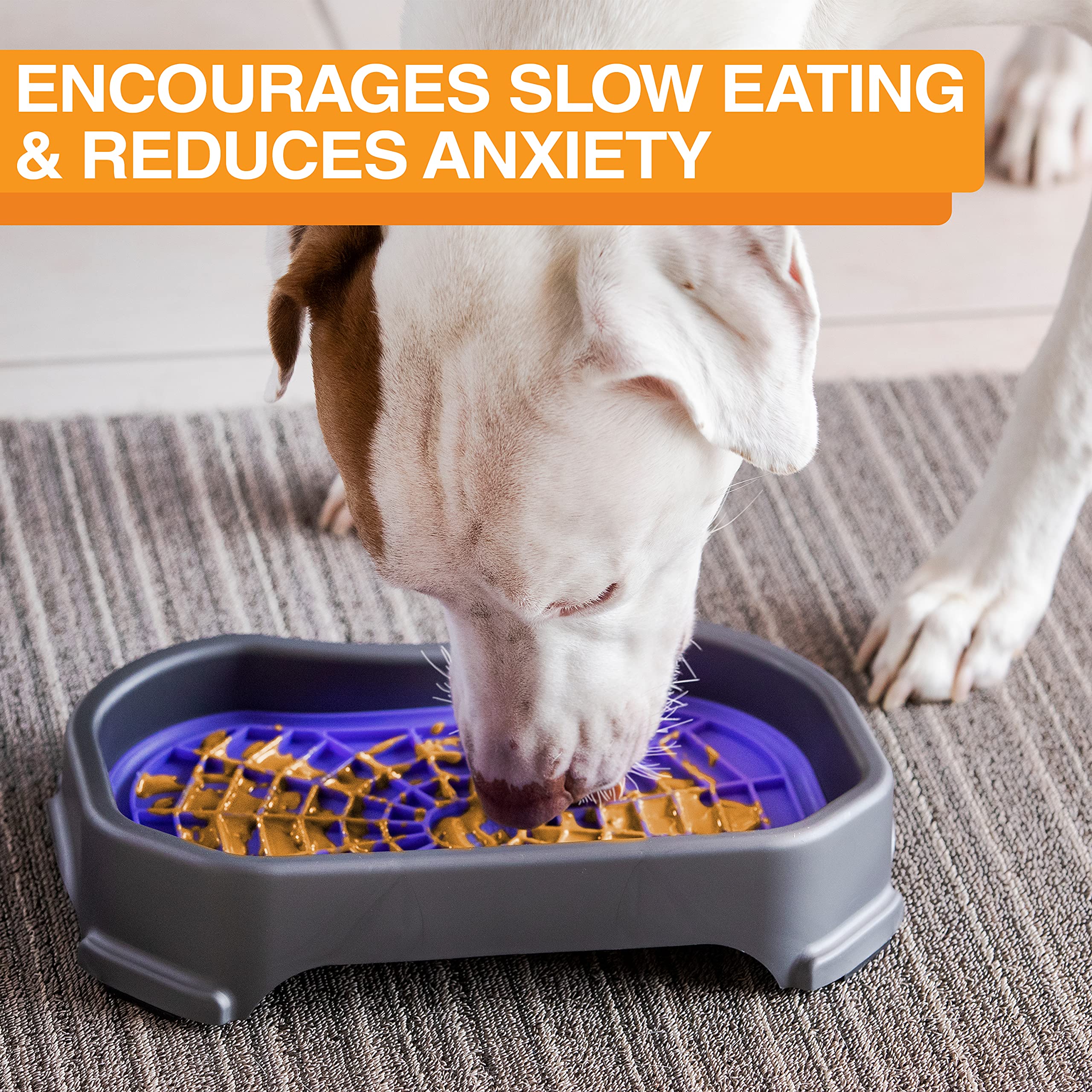Neater Pet Brands Neat-LIK slow-eating feature supports calmer feeding sessions.